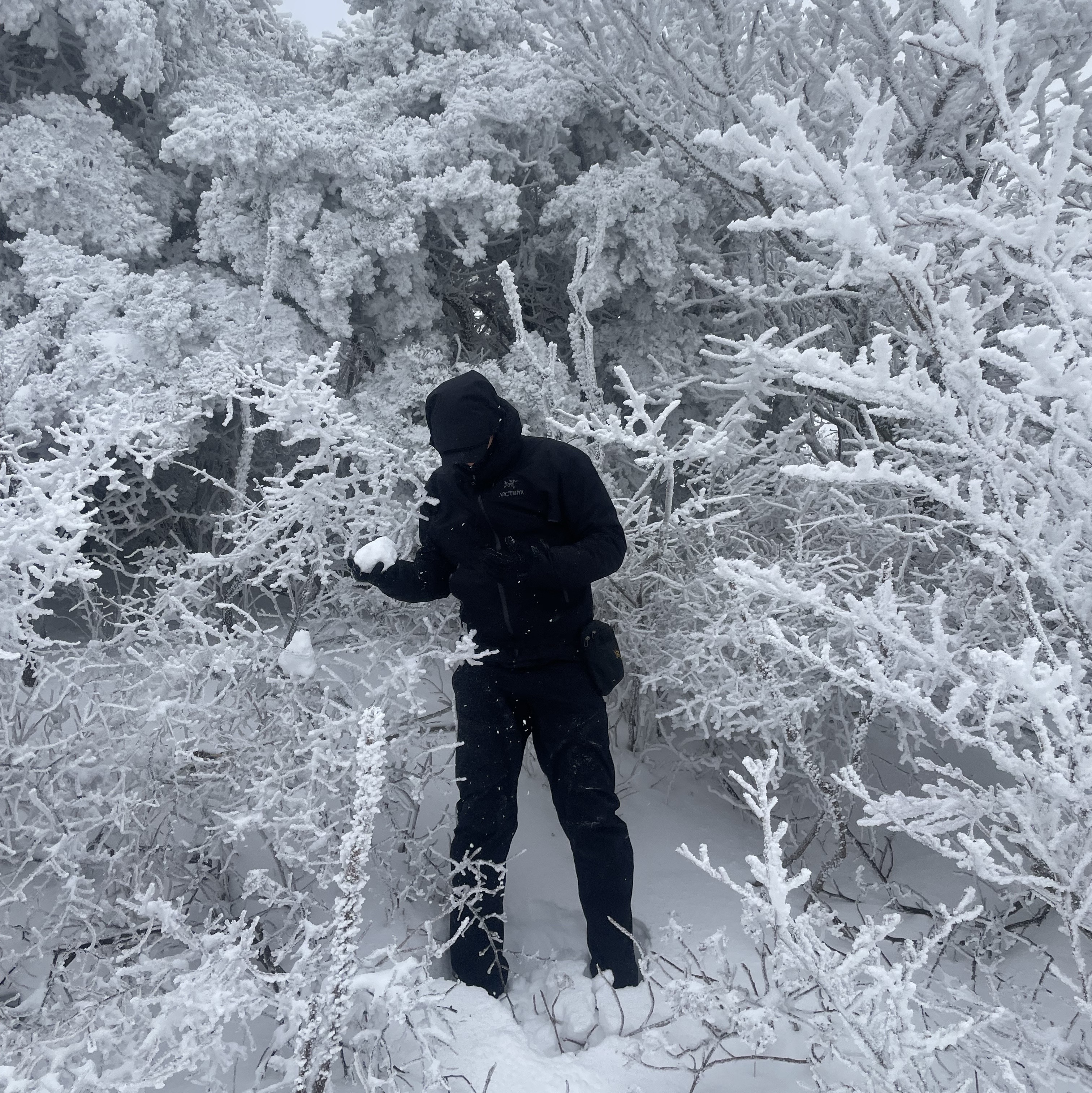 Arc'teryx Beta LT Jacket Black, Arc'teryx Bird Head Toque Orca 착용 스타일