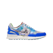 Nike Air Pegasus 89 Golf NRG Metallic Silver Racer Blue