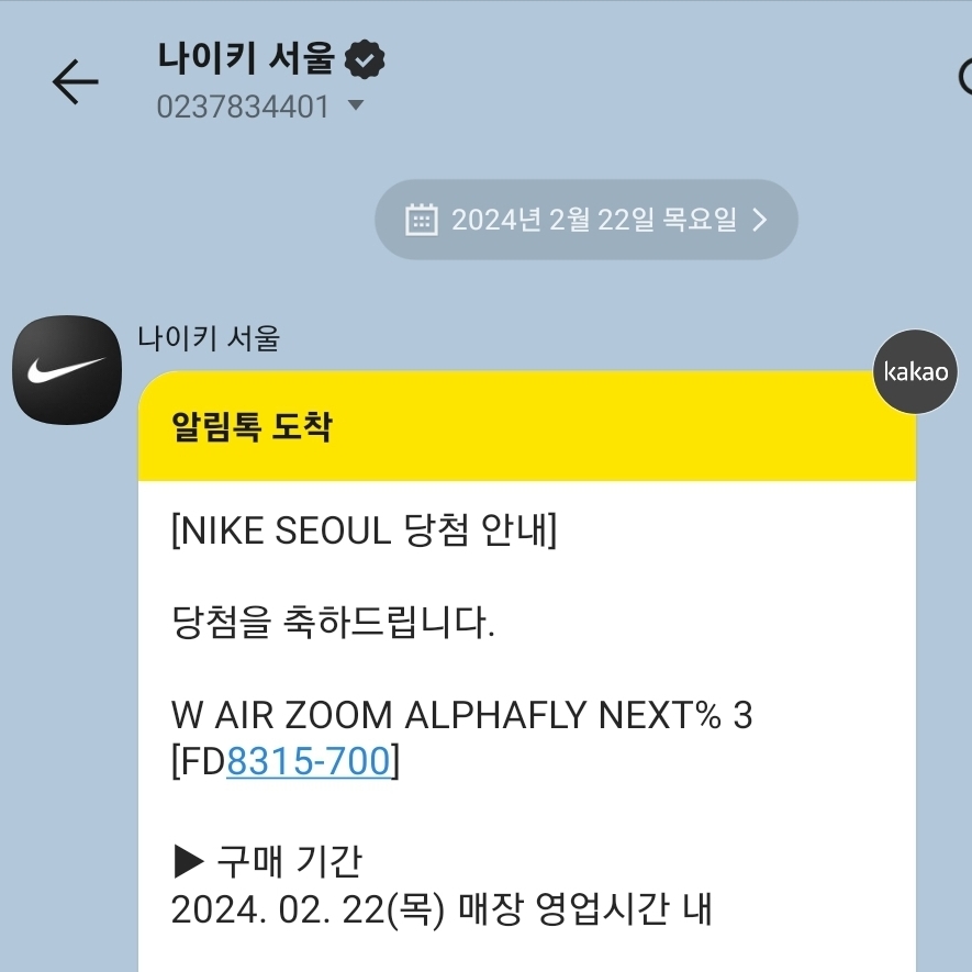 (W) Nike Air Zoom Alphafly Next% 3 Volt 착용 스타일 - 2