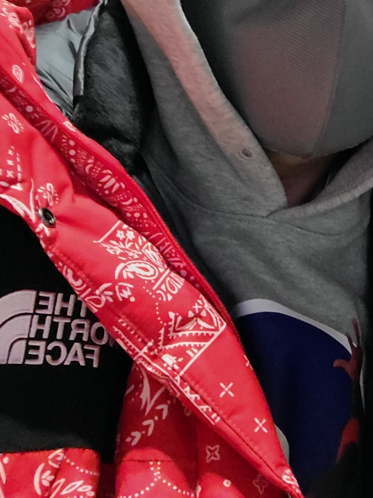 Jordan x Fragment Image Pullover Hoodie Grey - US/EU, The North Face Novelty Ultimate Down Jacket Real Black 착용 스타일 - 1