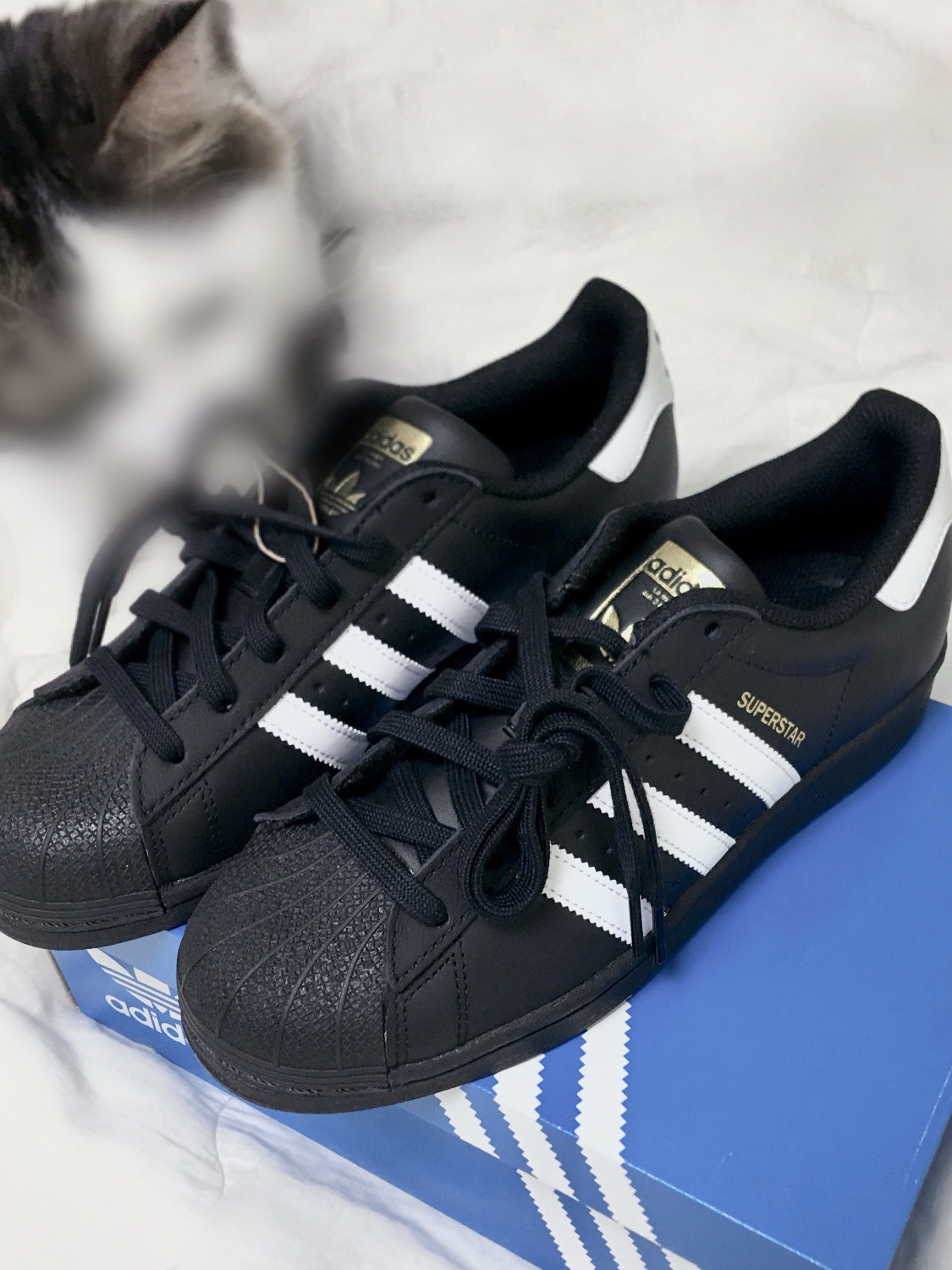 Adidas Superstar Core Black White 착용 스타일