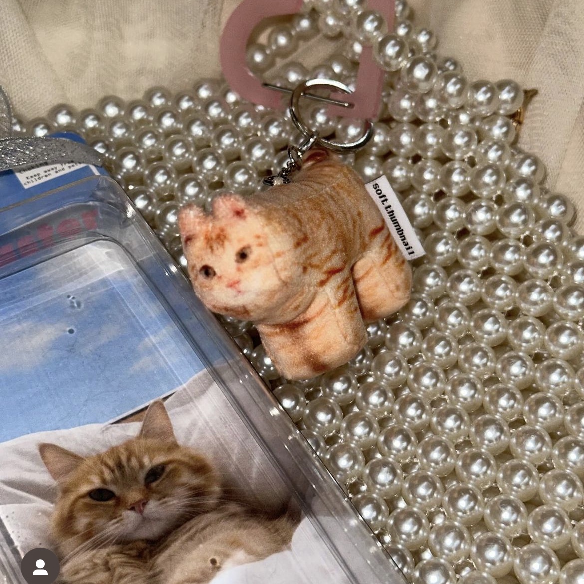 Soft Thumbnail Cheese, Domestic Shorthair 착용 스타일