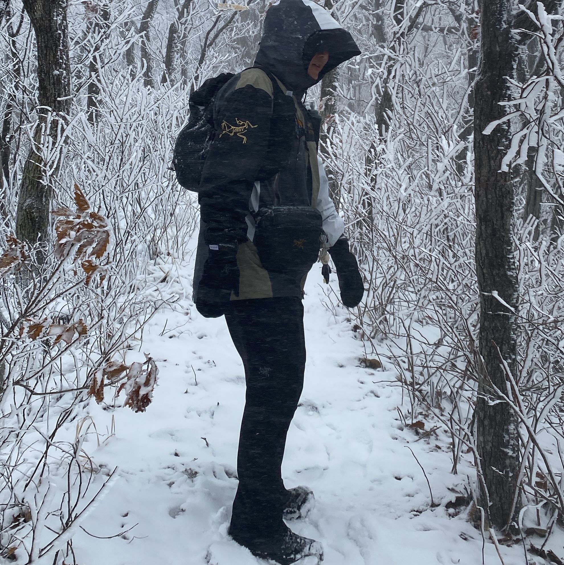 Arc'teryx x Beams Dimensions Beta Jacket Multi, Arc'teryx Mantis 2 Waistpack 24K Black 착용 스타일 - 6