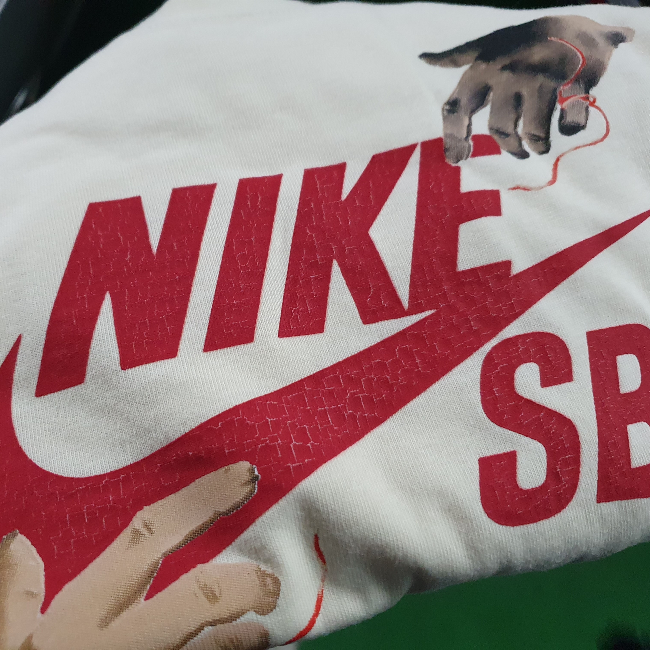 Nike SB Long Sleeve Skate T-Shirt Coconut Milk - Asia 착용 스타일