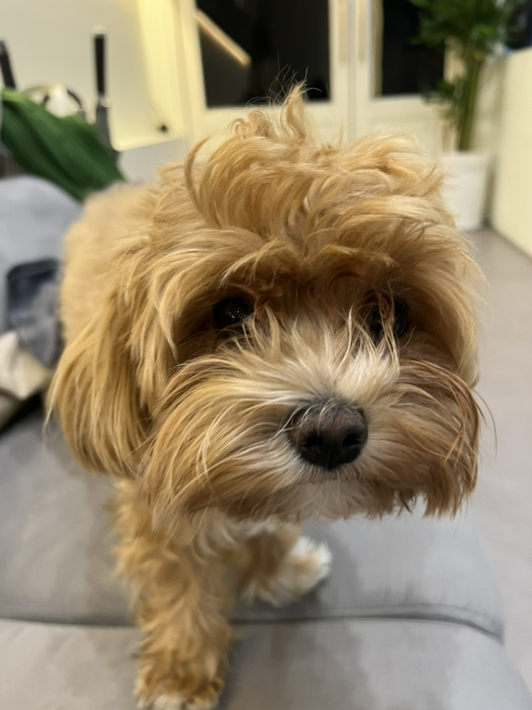 관심 유저 프로필 이미지