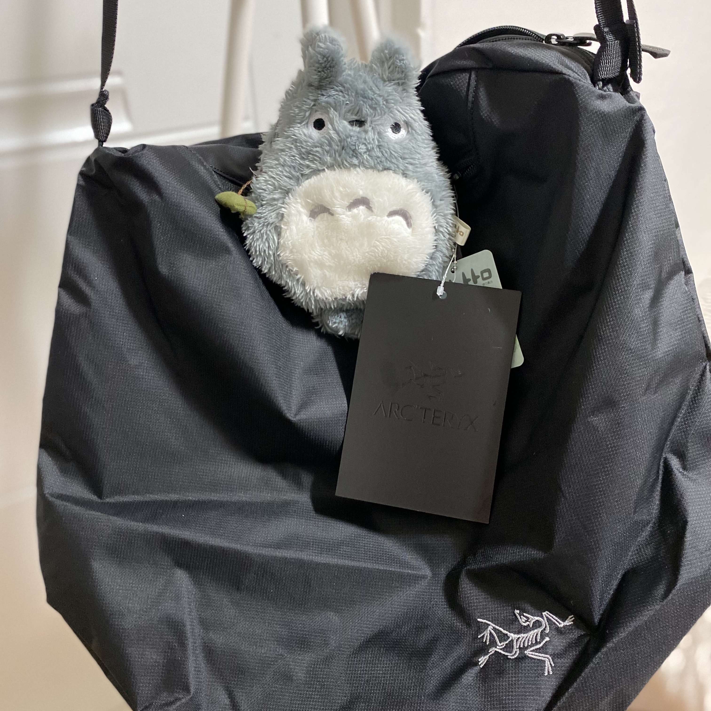 Arc'teryx Heliad 12 Tote Black 착용 스타일 - 1