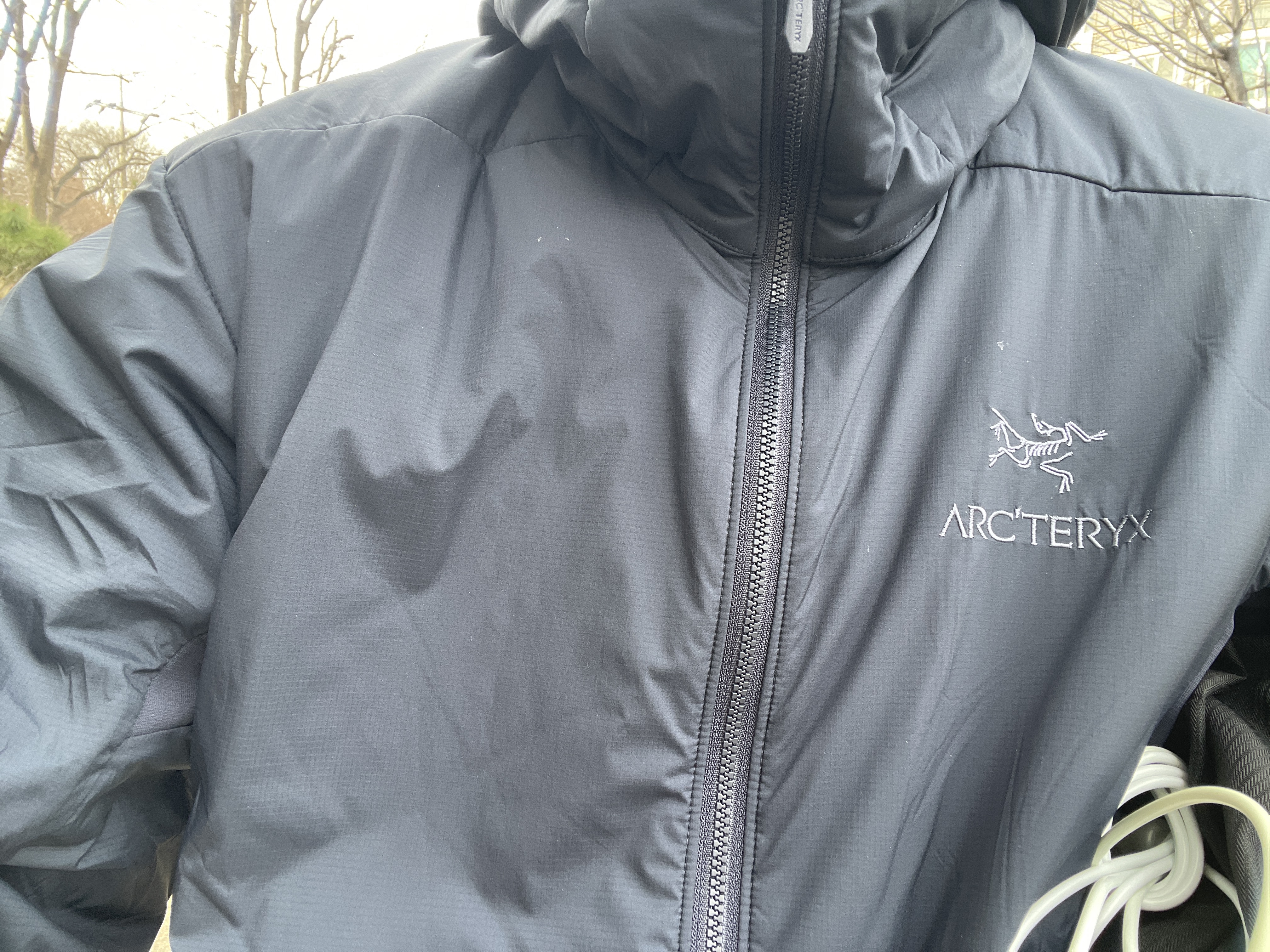 Arc'teryx Atom Hoody Black Sapphire 착용 스타일