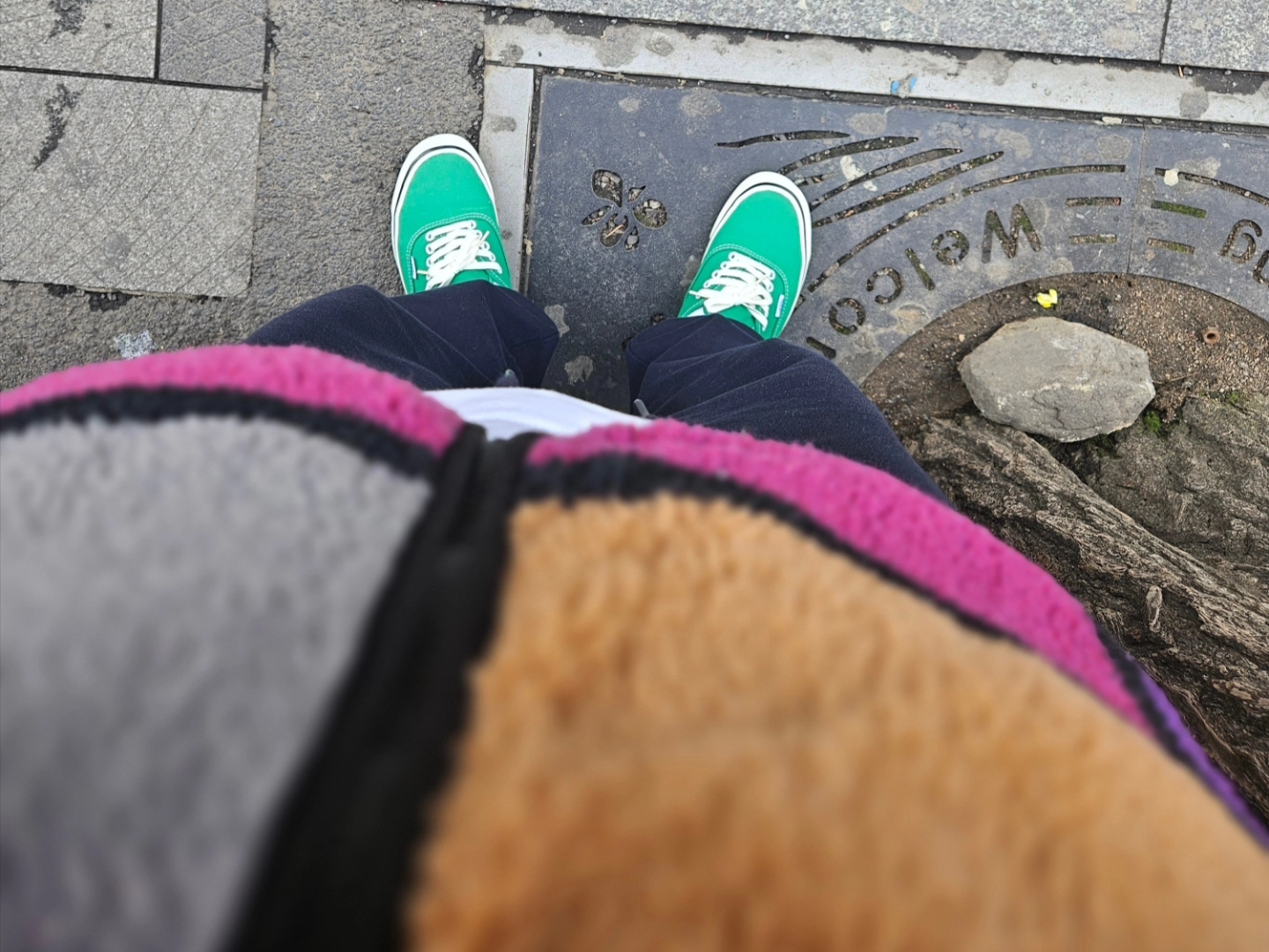 Supreme Reversible Colorblocked Fleece Jacket Purple - 20FW, Vans Authentic 44 DX Anaheim Factory Emerald Green 착용 스타일 - 3