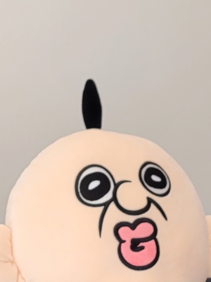 Bbangbbang Big Body Pillow 착용 스타일