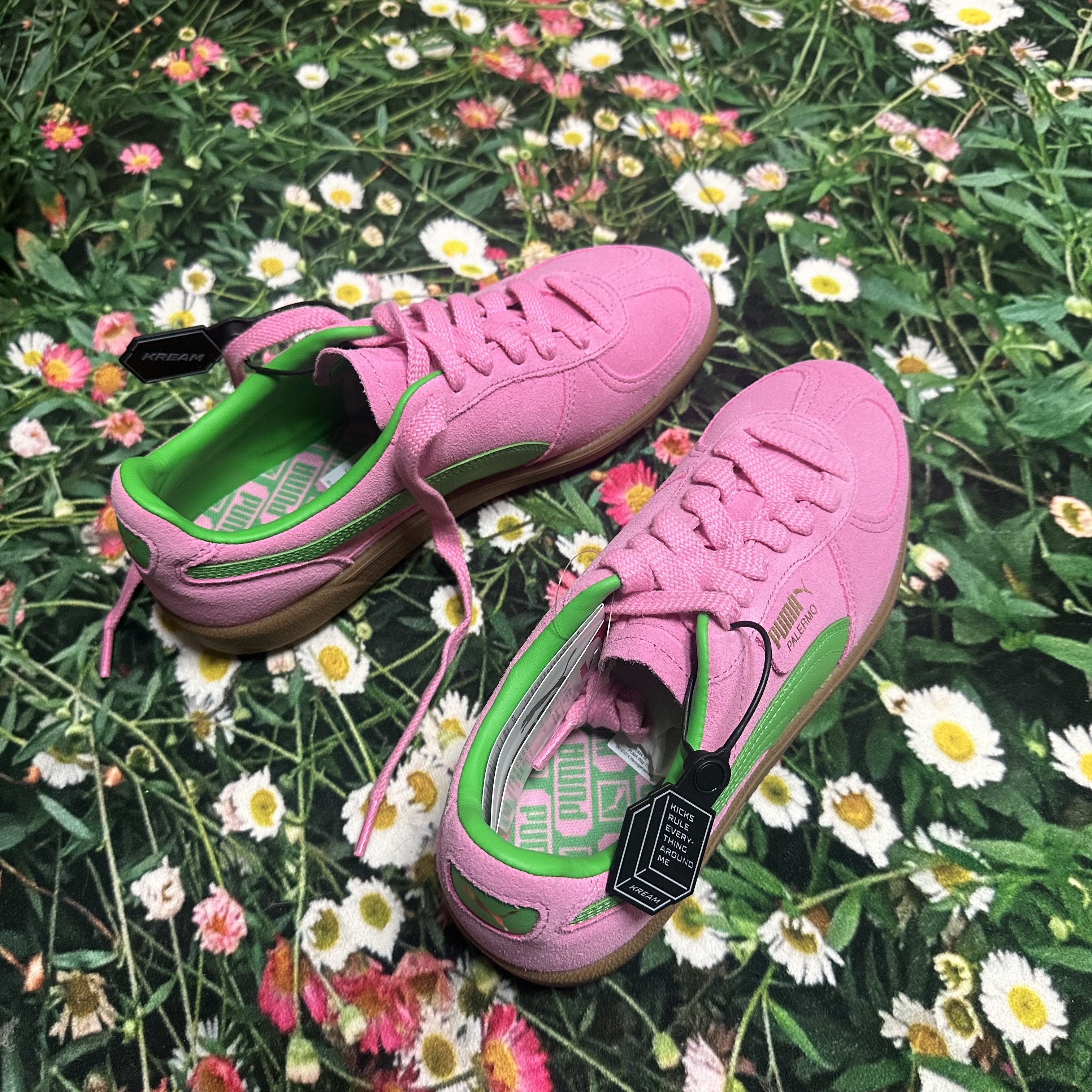 Puma Palermo Special Pink Delight Green 착용 스타일