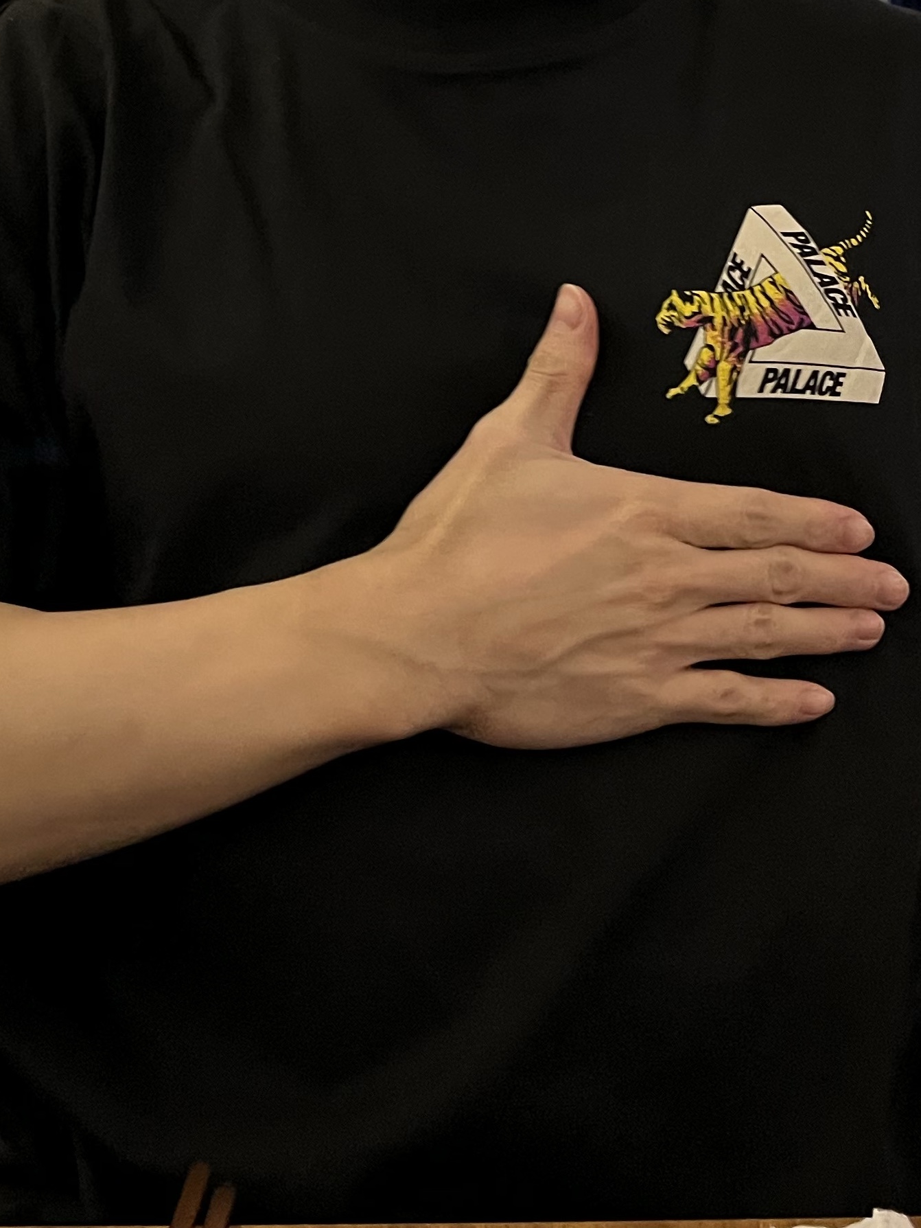 Palace Korea Tri-Ferg T-Shirt Black - 24SS 착용 스타일