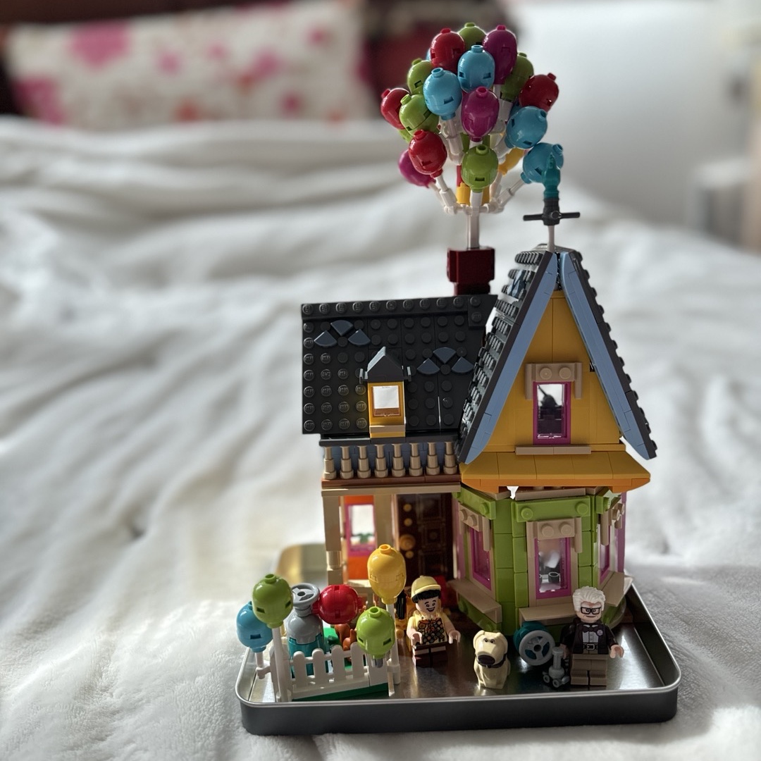 Lego Disney Up House 착용 스타일