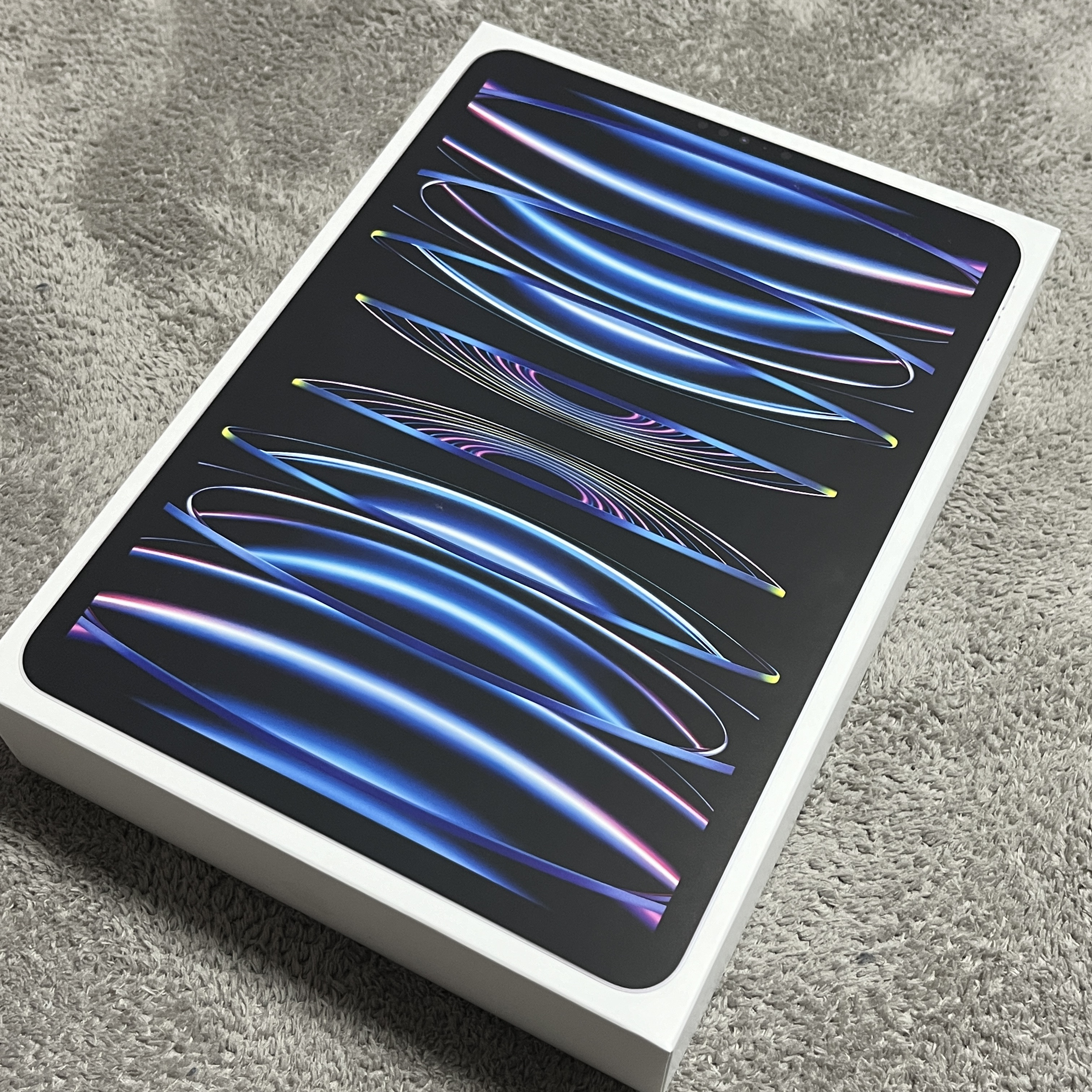 Apple iPad Pro 4th Gen 11-inch Wifi 128GB Silver (Korean Ver.) 착용 스타일