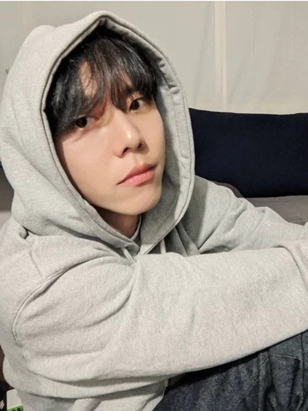Supreme Collegiate Hooded Sweatshirt Heather Grey - 24SS, Safarispot Naturalis Hoodie Zip up Gray 착용 스타일 - 4