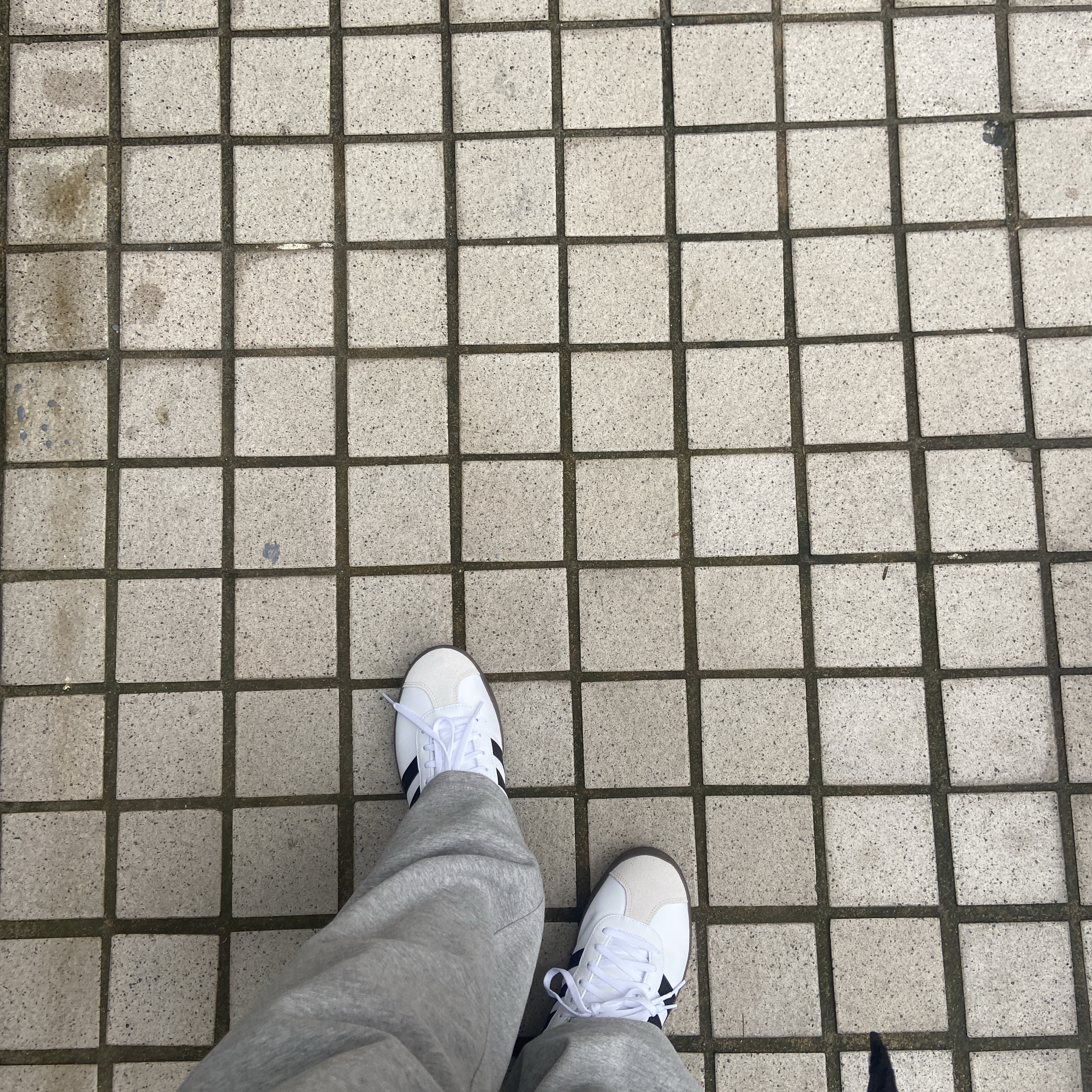 Adidas VL Court Base Cloud White Core Black 착용 스타일