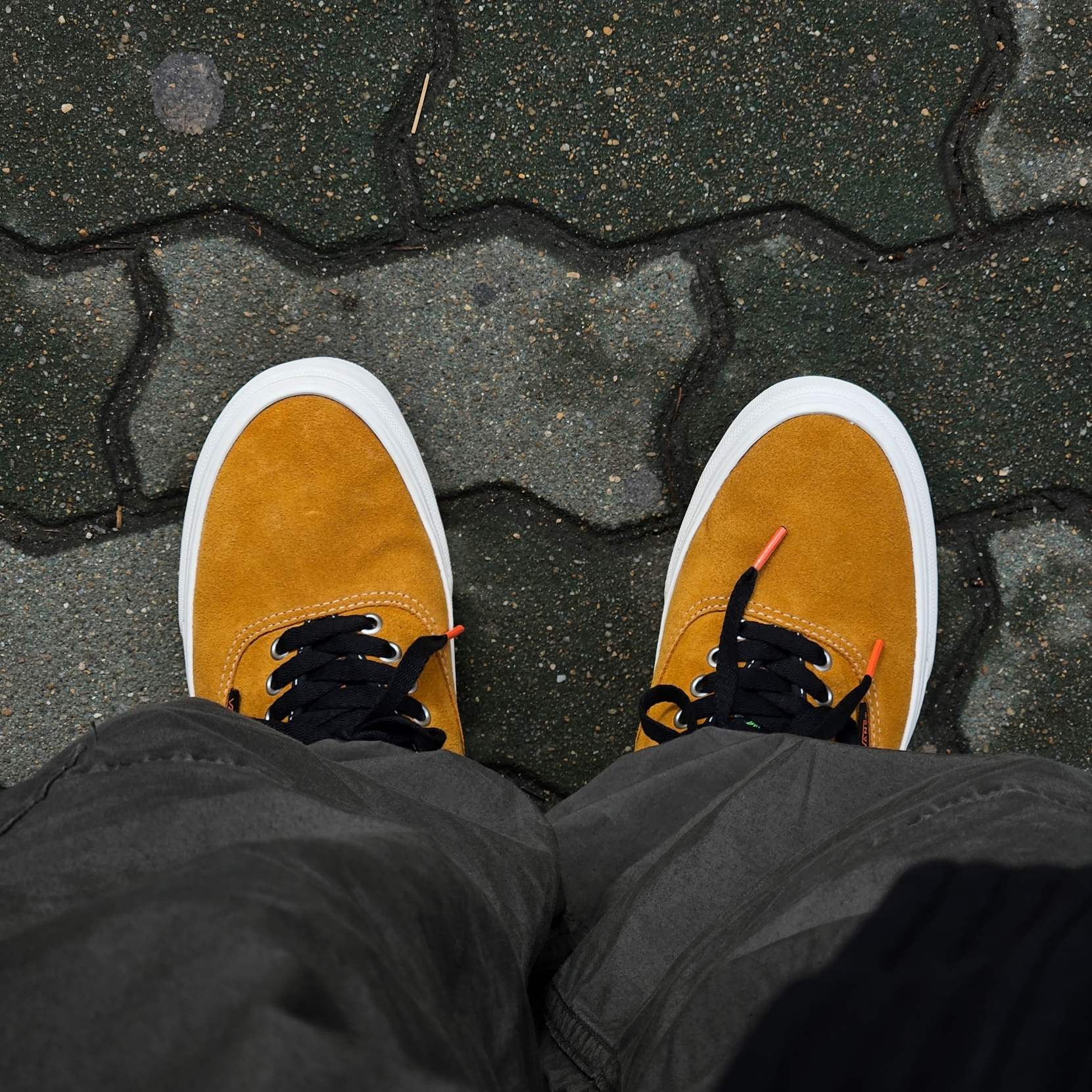 Vans Authentic Convert Growth Garden Sunflower 착용 스타일 - 1