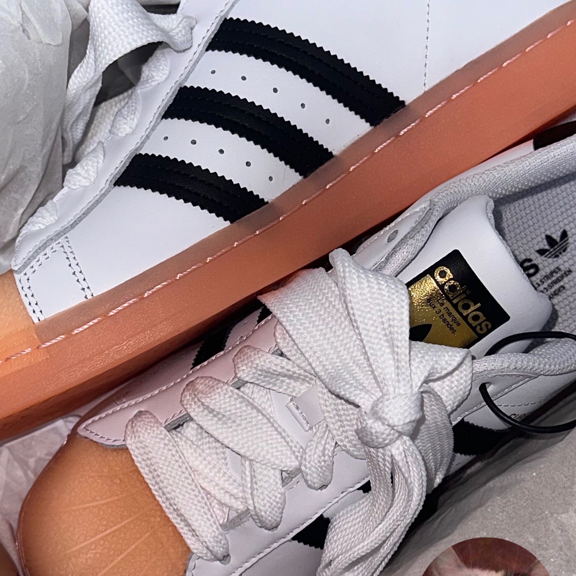(W) Adidas Superstar White Black Haze Coral 착용 스타일 - 1