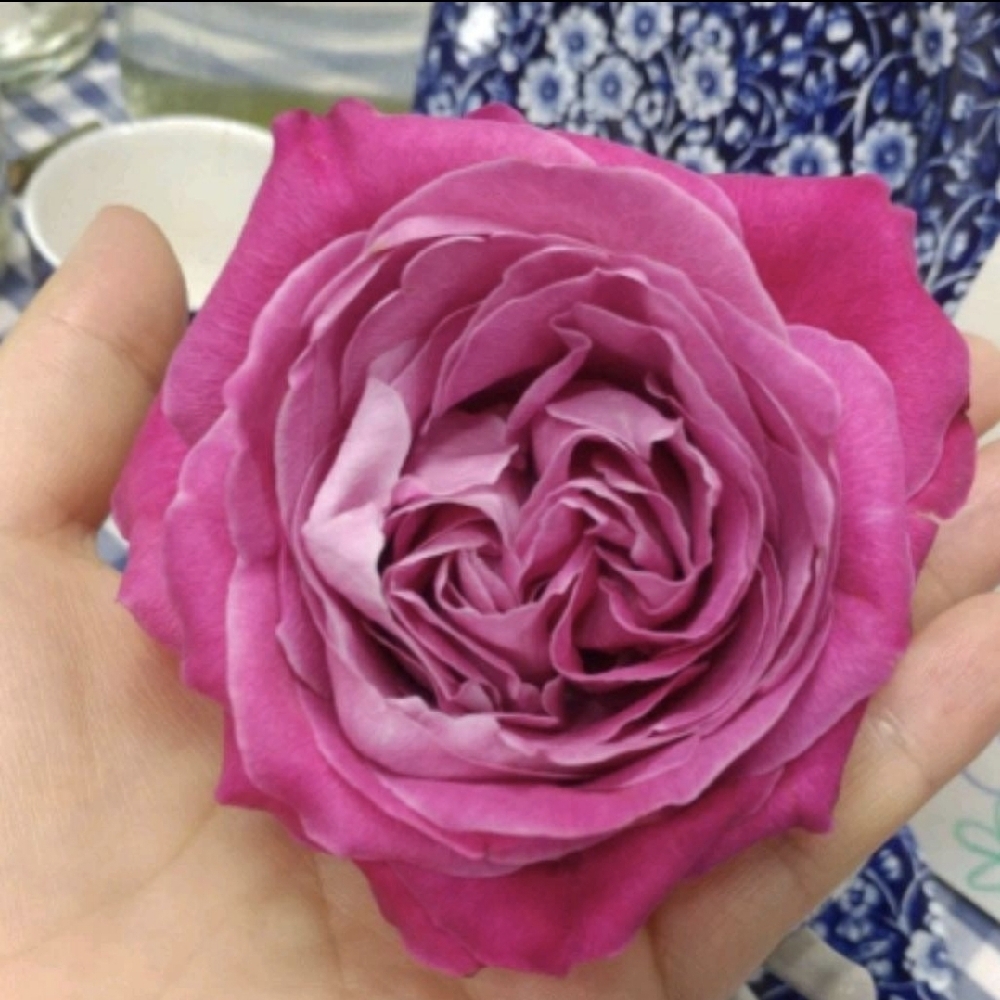 관심 유저 프로필 이미지