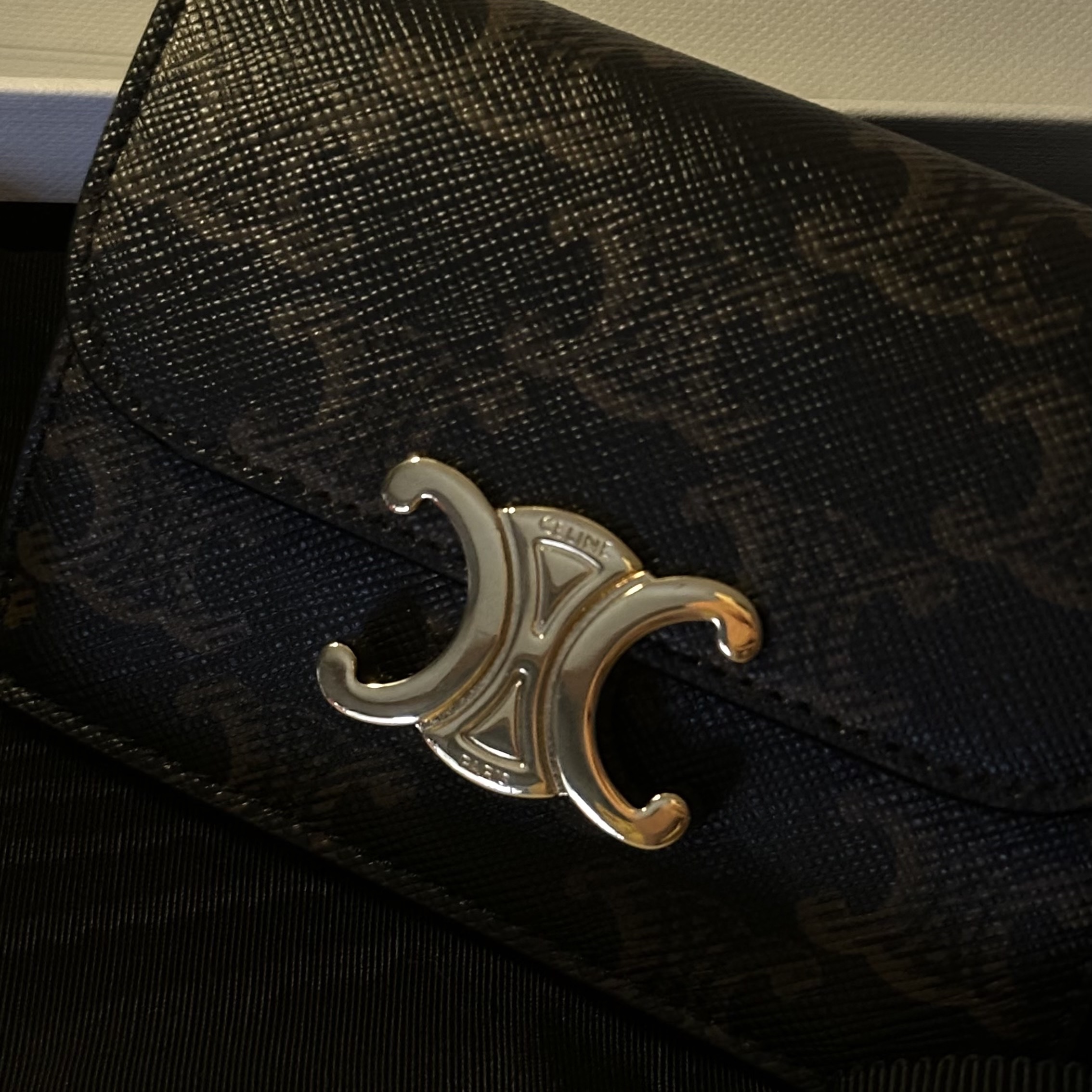 Celine Card Holder with Flap in Triomphe Canvas Tan 착용 스타일