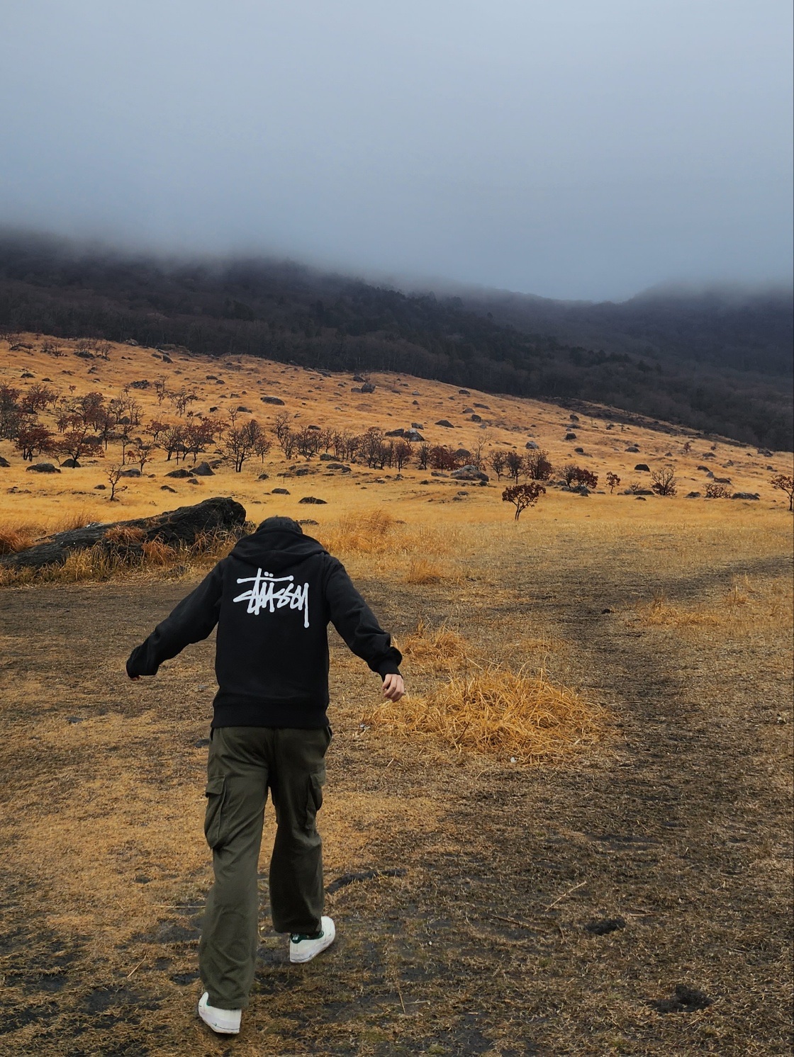 Nike Air Force 1 '07 LV8 40th Anniversary Join Forces Sail Malachite, Stussy Basic Stussy Zip Hoodie Black 2023 착용 스타일