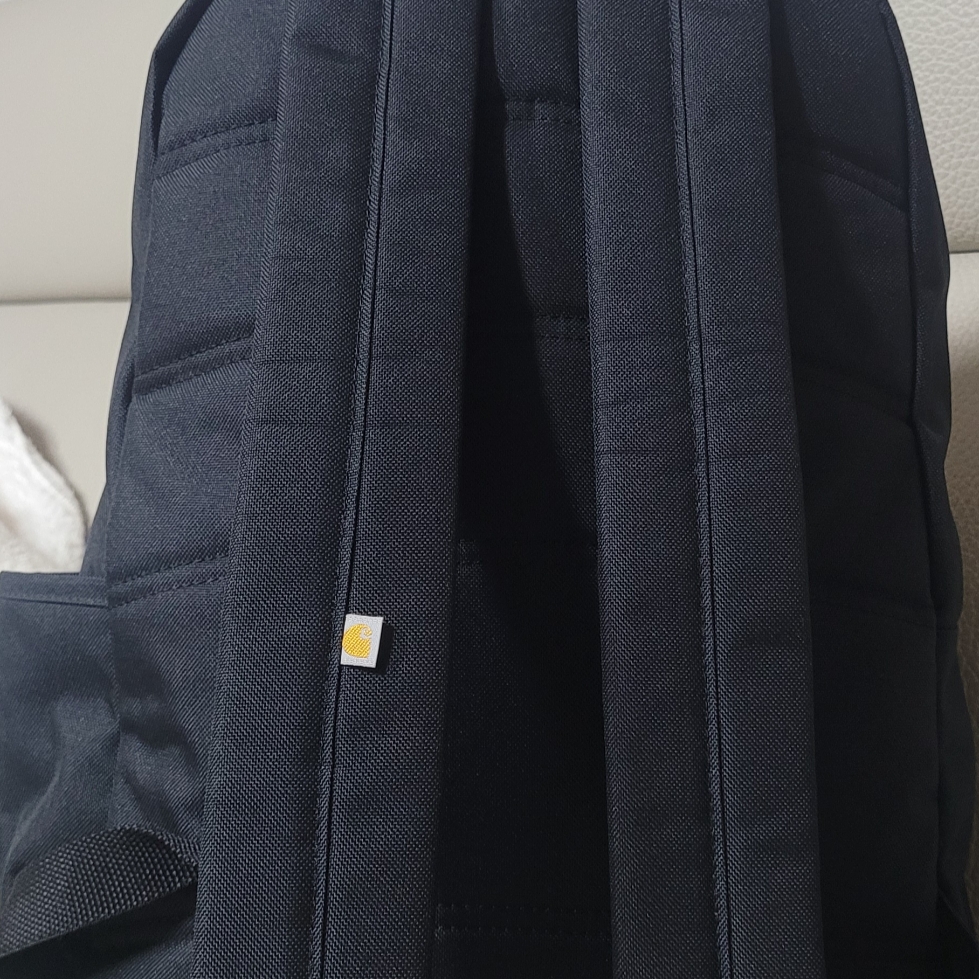 Carhartt Classic Laptop Backpack 21L Black 착용 스타일 - 3