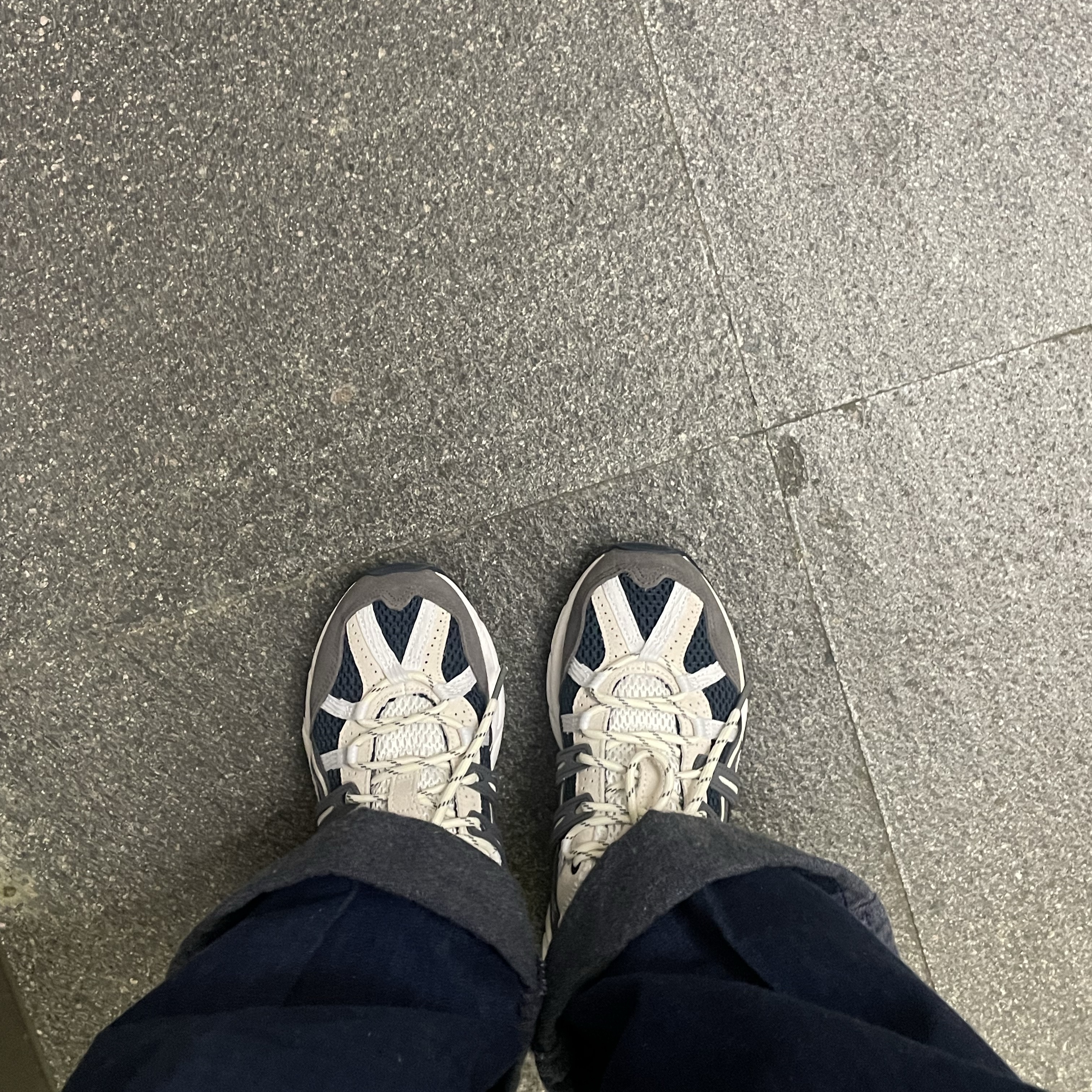 Asics Gel-Sonoma 15-50 French Blue 착용 스타일