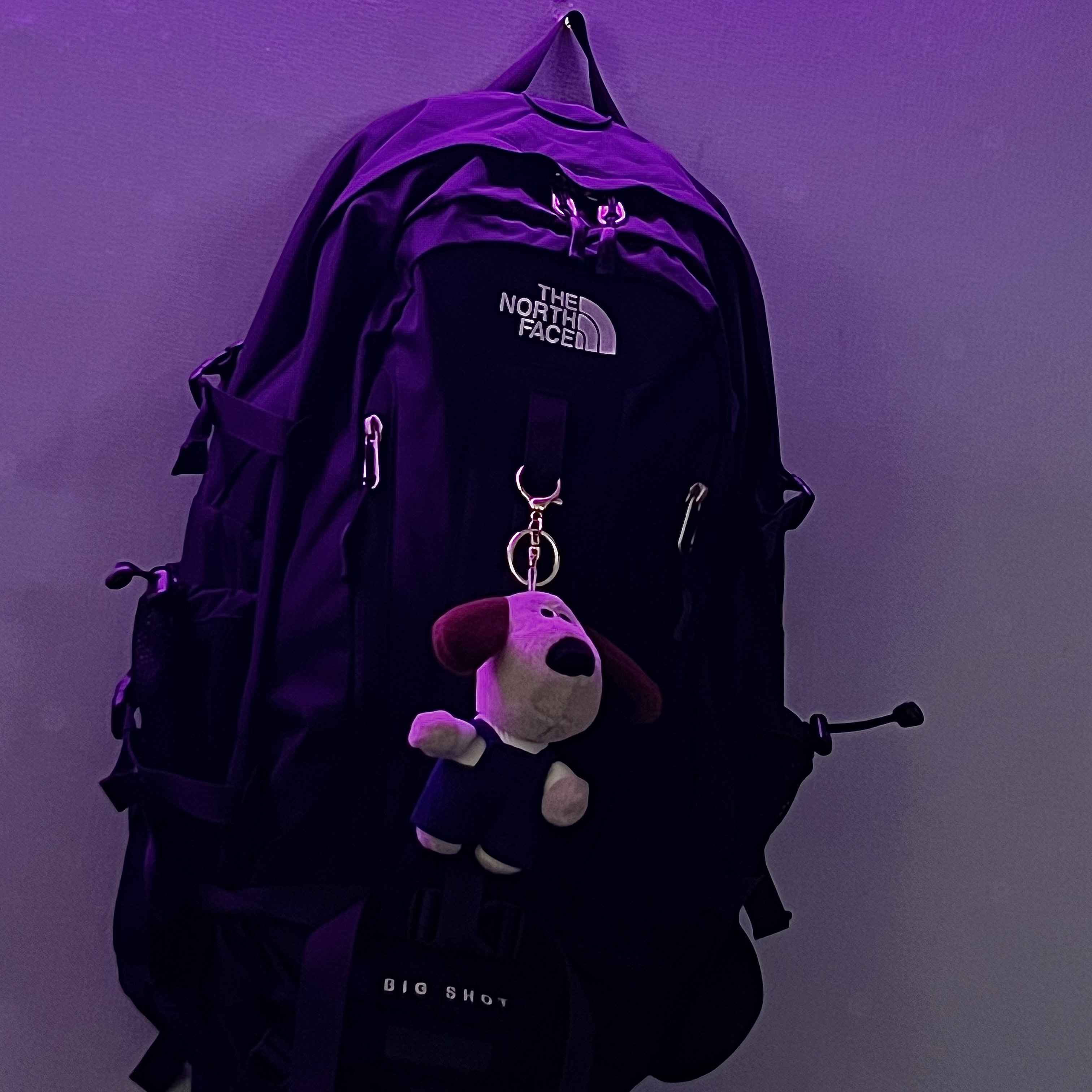 The North Face Big Shot Black 착용 스타일 - 1