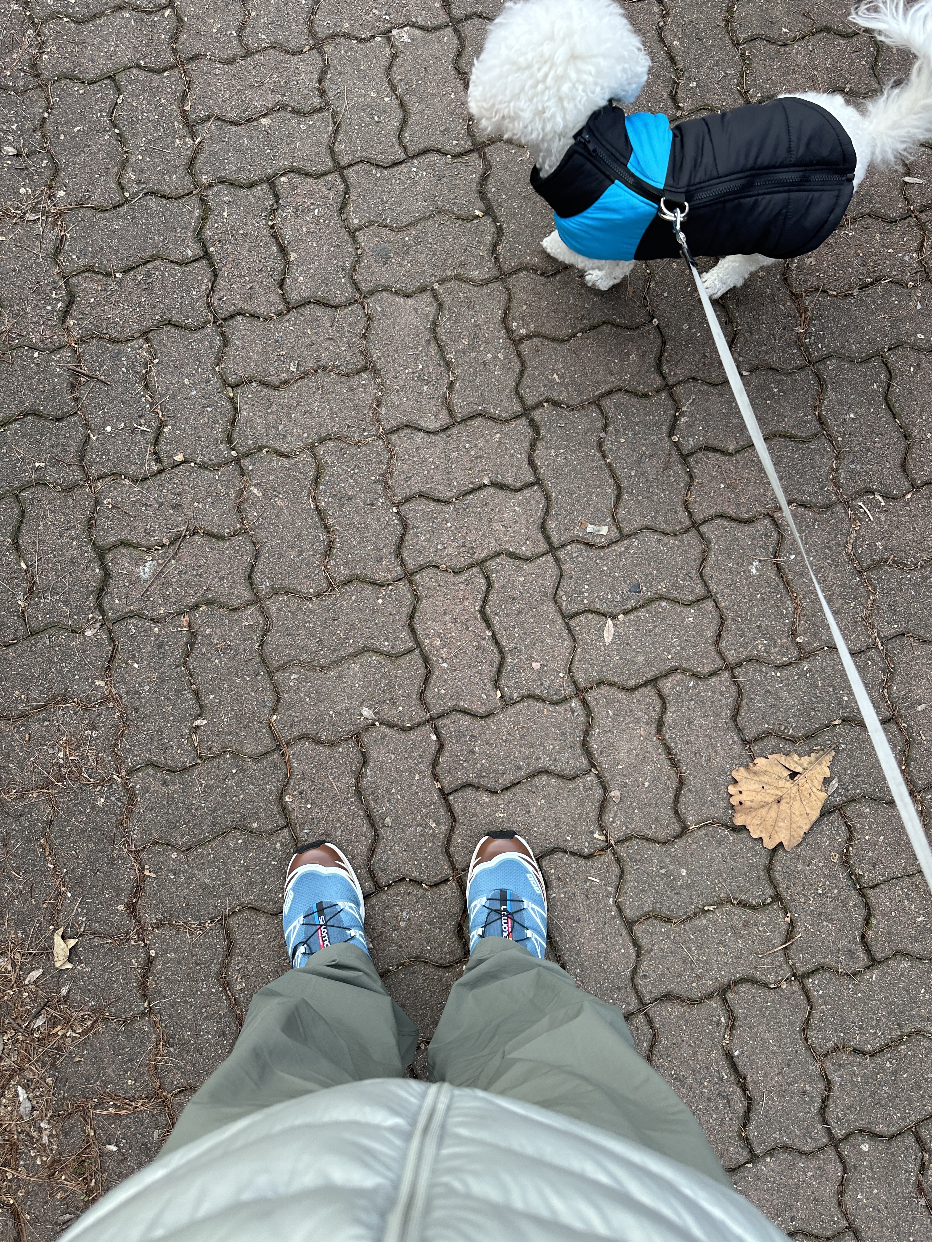 Salomon XT-6 Aegean Blue Tortoise Shell, Arc'teryx Rampart Pants Canvas 착용 스타일