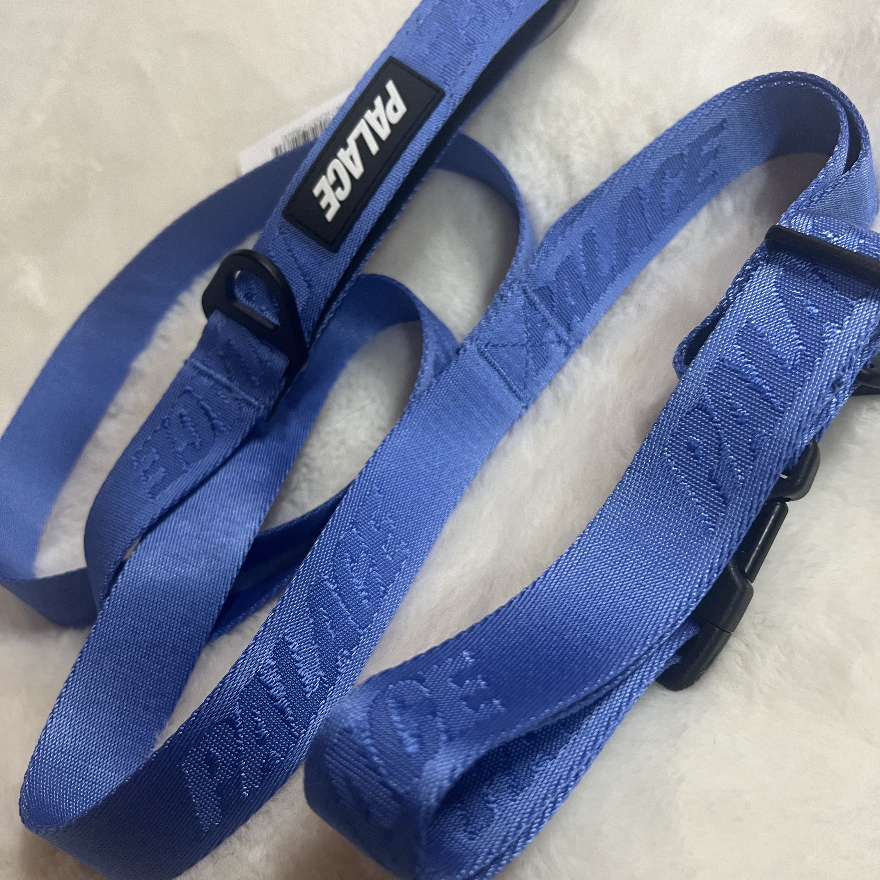 Palace Jacquard Logo Dog Collar And Lead Blue - 24SS 착용 스타일