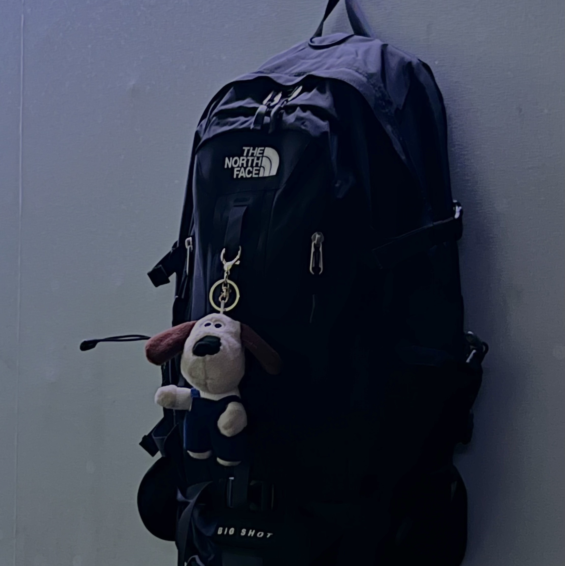 The North Face Big Shot Black 착용 스타일 - 2