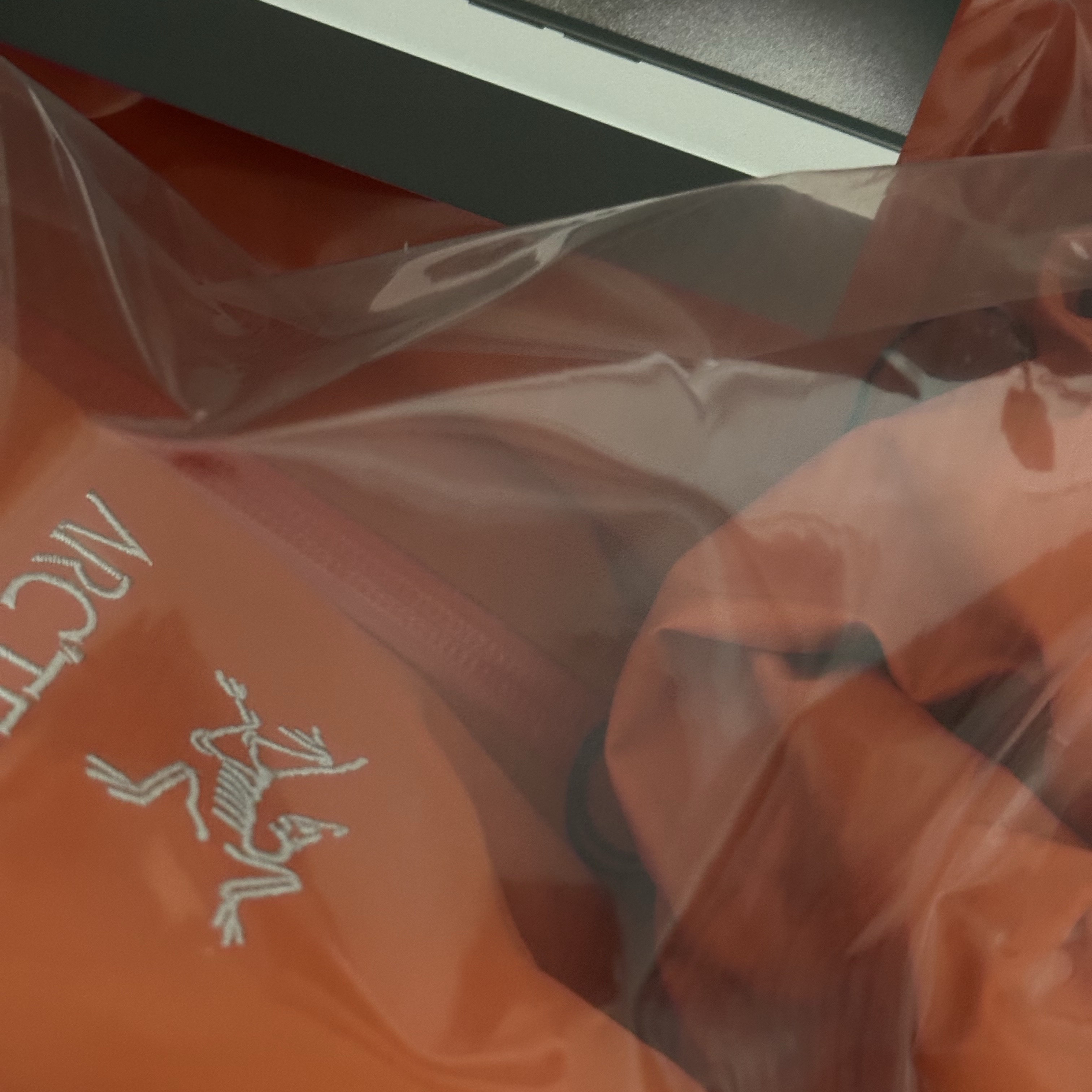 Arc'teryx Beta LT Jacket Phenom 착용 스타일