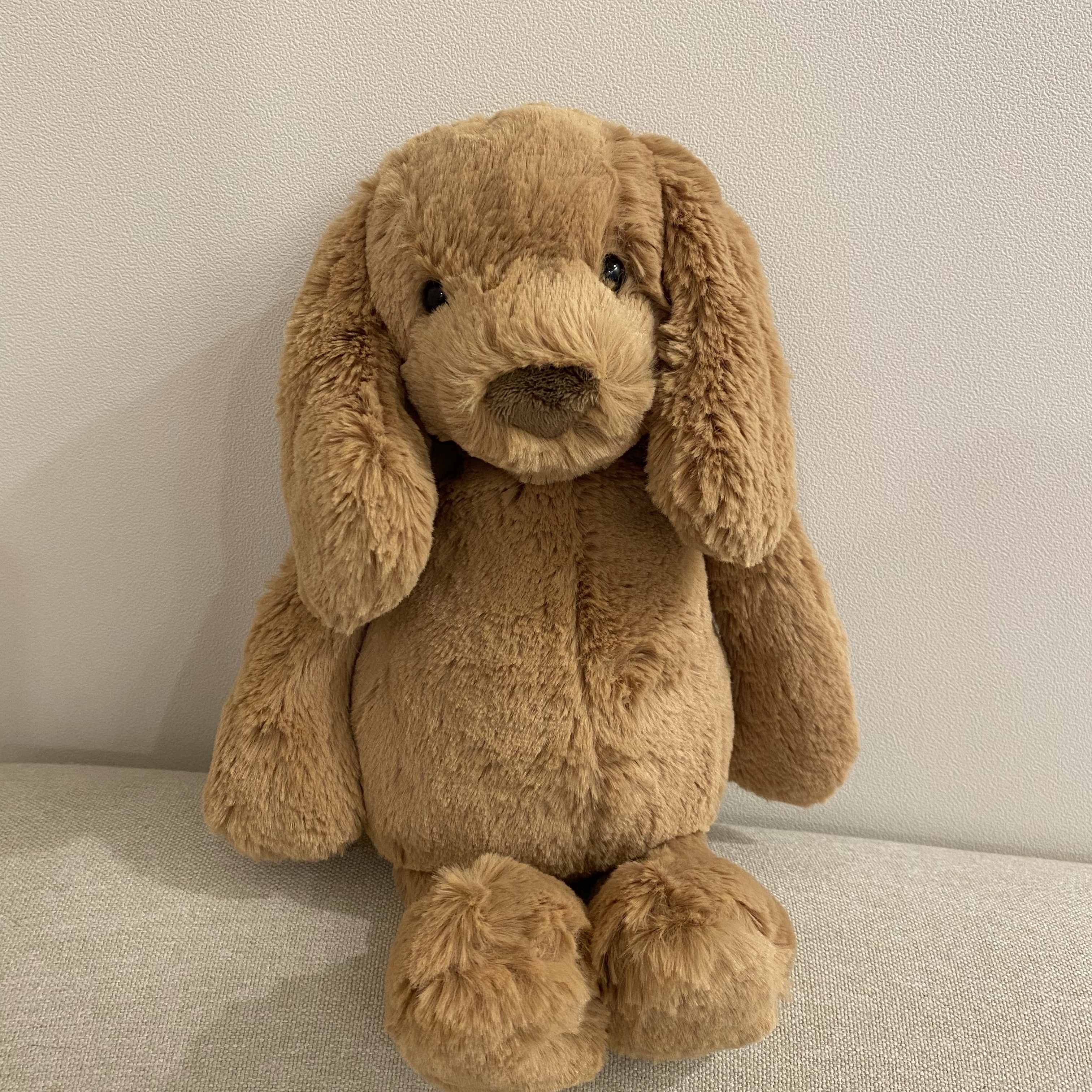 Jellycat Bashful Puppy Medium Toffee 착용 스타일