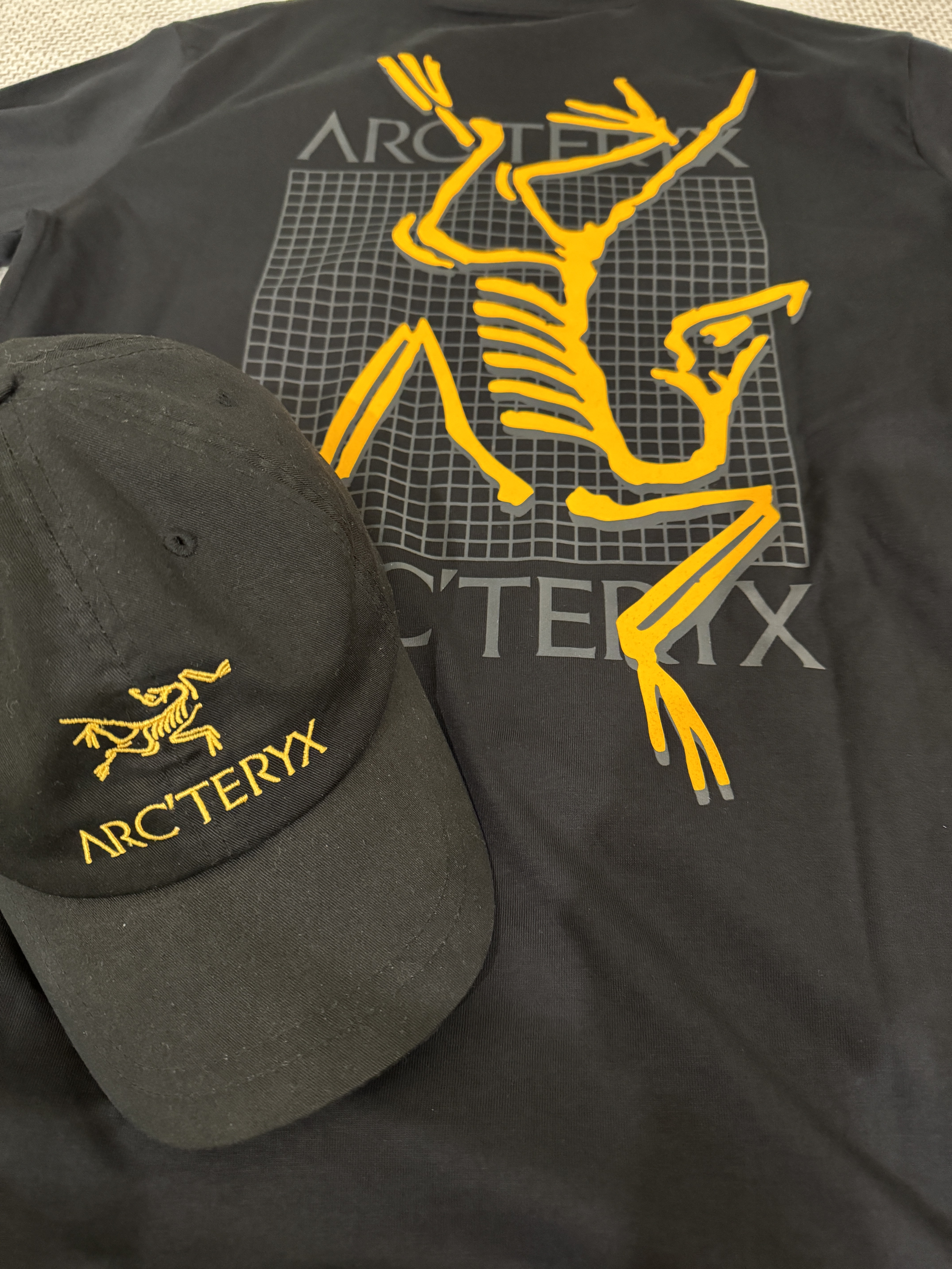 Arc'teryx Arc'Multi Bird Logo LS T-Shirt Black, Palace x Arc'teryx 6-Panel Black - 20FW 착용 스타일