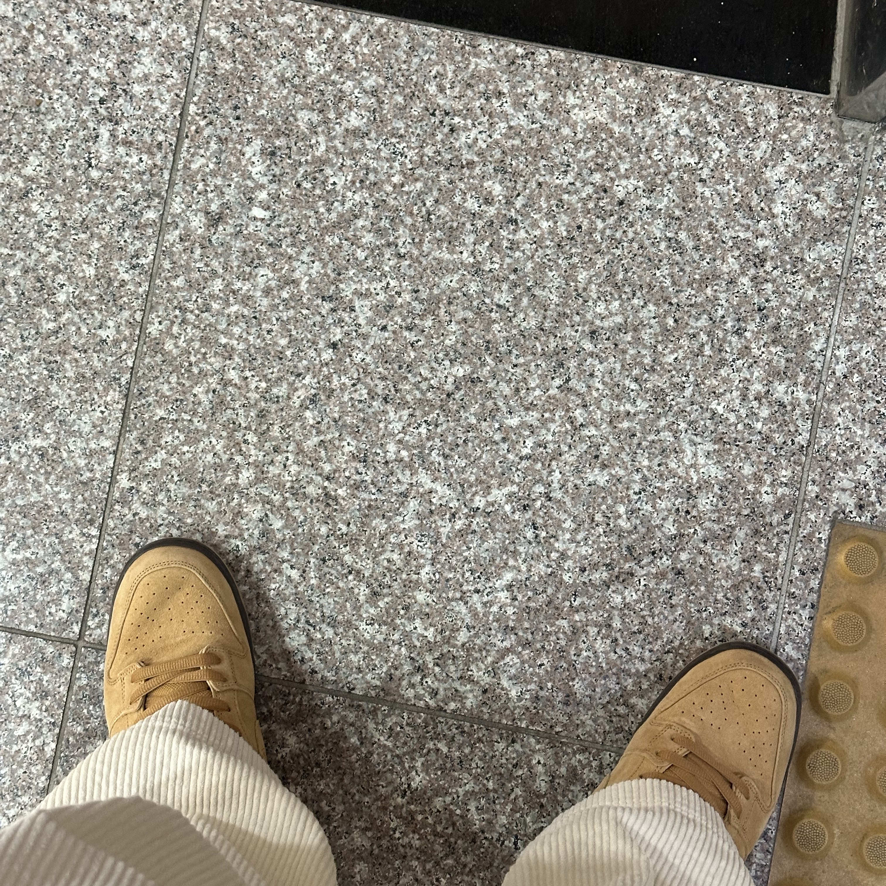 Nike SB Dunk Low Pro Wheat 2020, Nike SB Dunk Low Pro Wheat 2023 착용 스타일