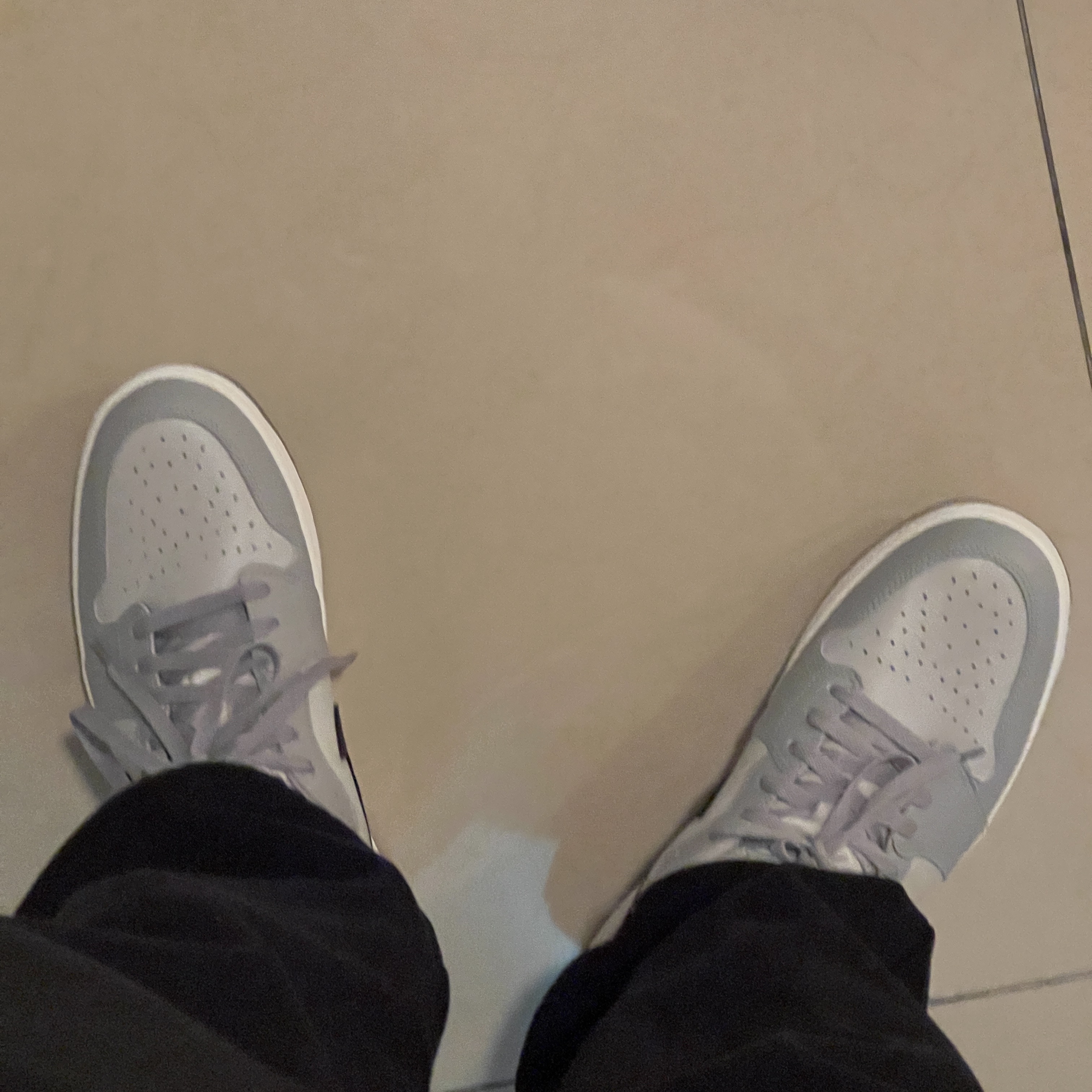 Jordan 1 Low Golf Wolf Grey 착용 스타일