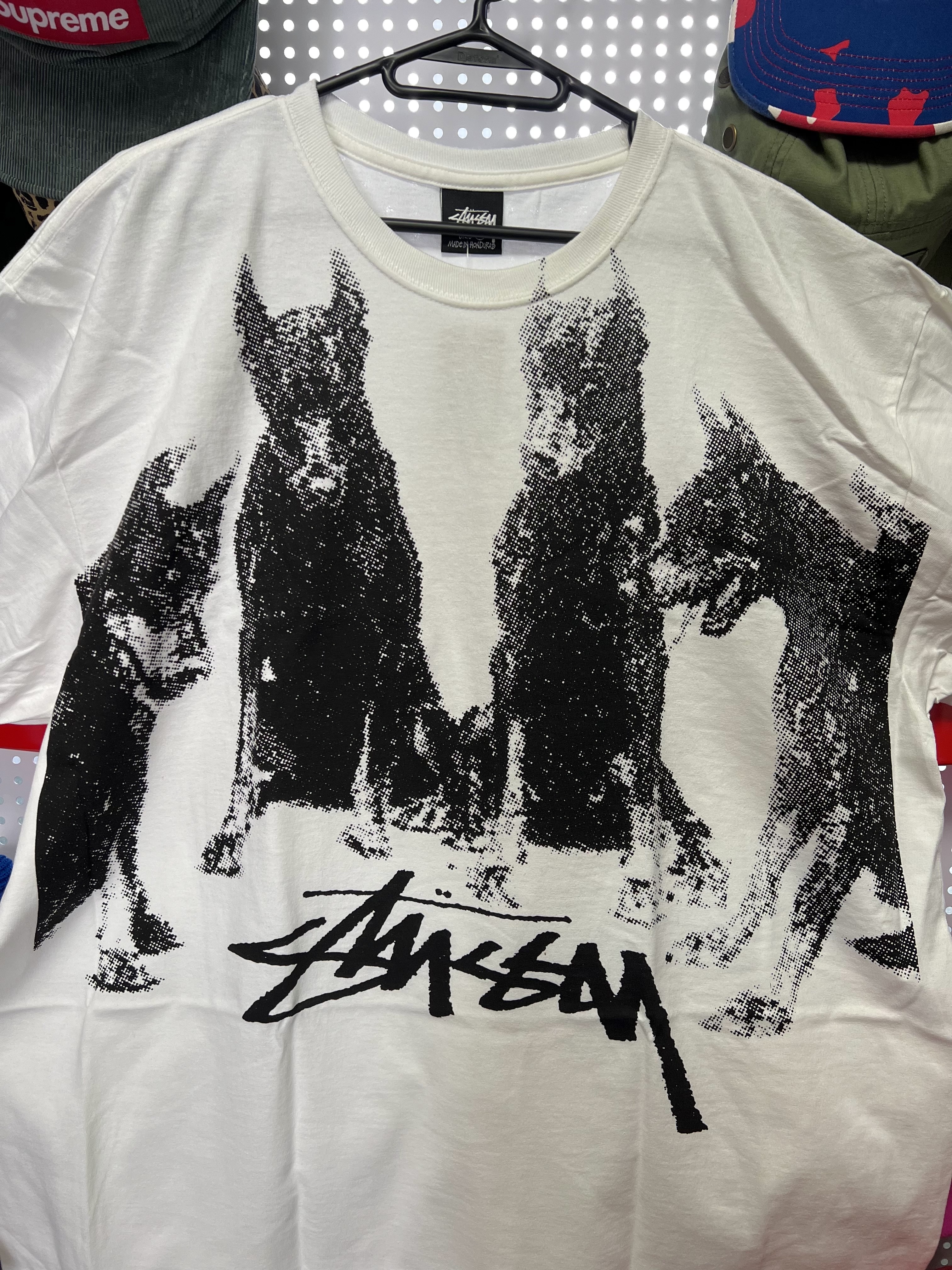 Stussy Doberman T-Shirt White 착용 스타일 - 2