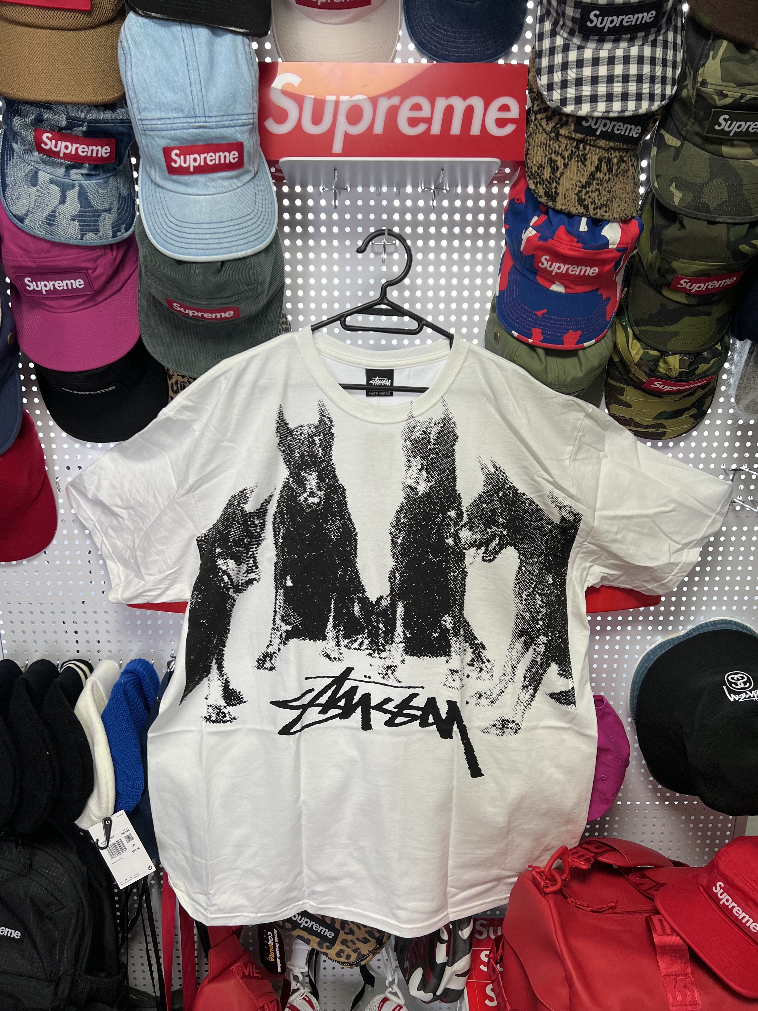 Stussy Doberman T-Shirt White 착용 스타일 - 1