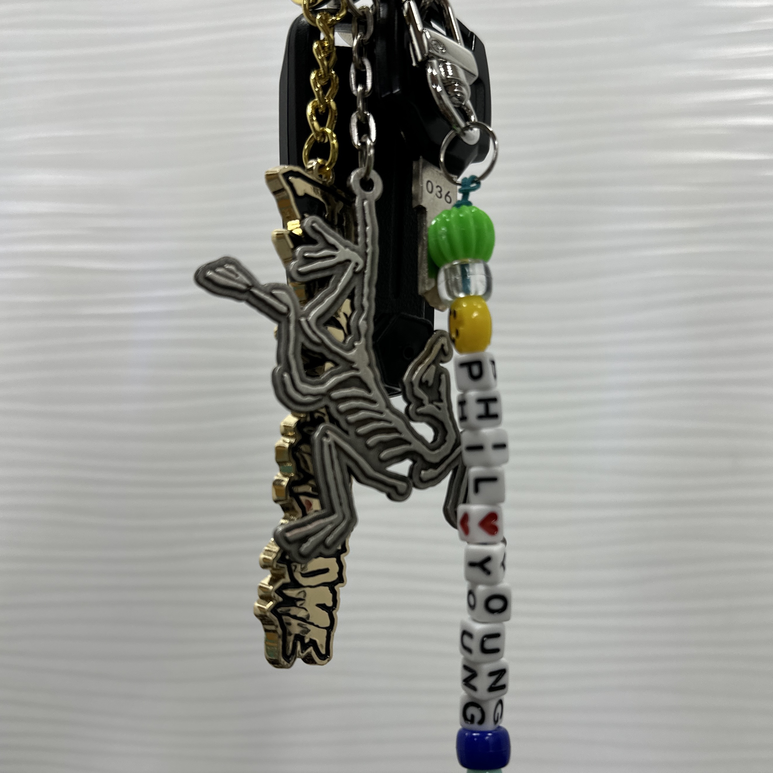 Arc'teryx Keyring Metal 착용 스타일