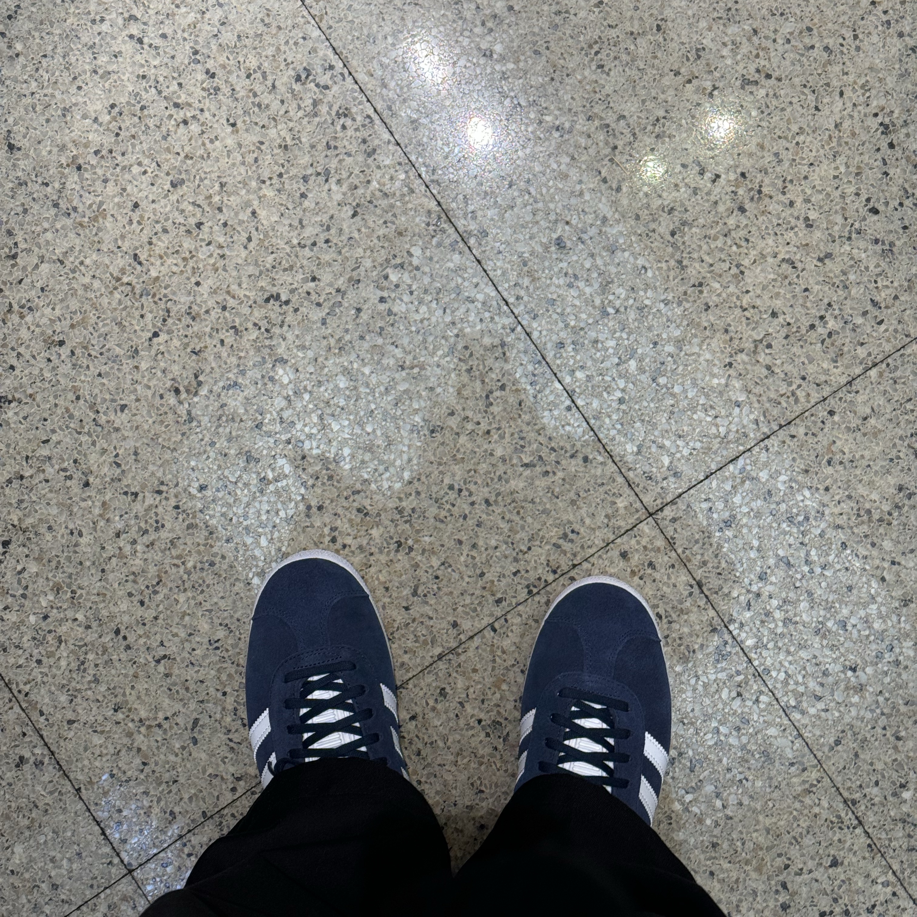Adidas Gazelle Collegiate Navy 착용 스타일