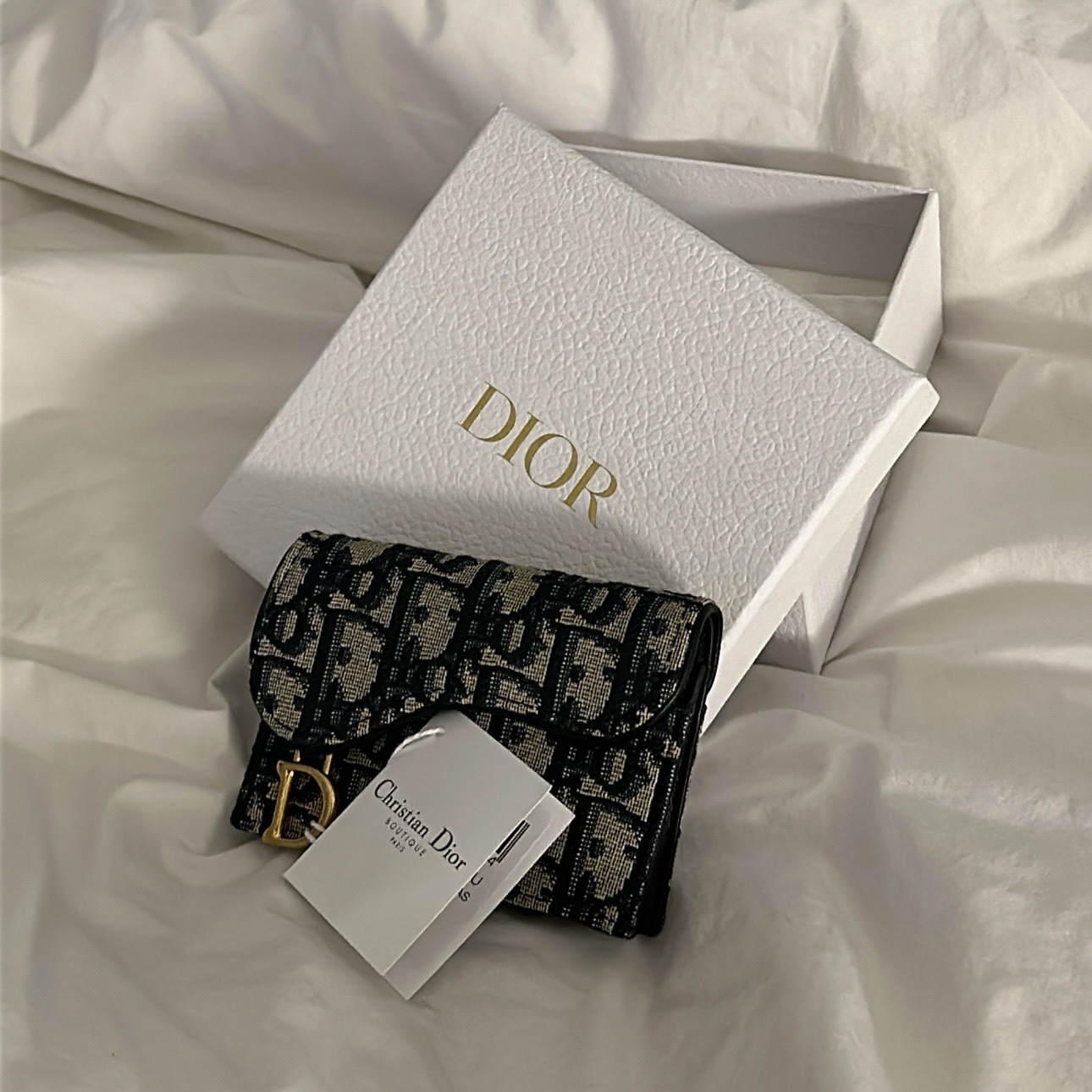 Dior Saddle Flap Card Holder Blue Dior Oblique Jacquard 착용 스타일