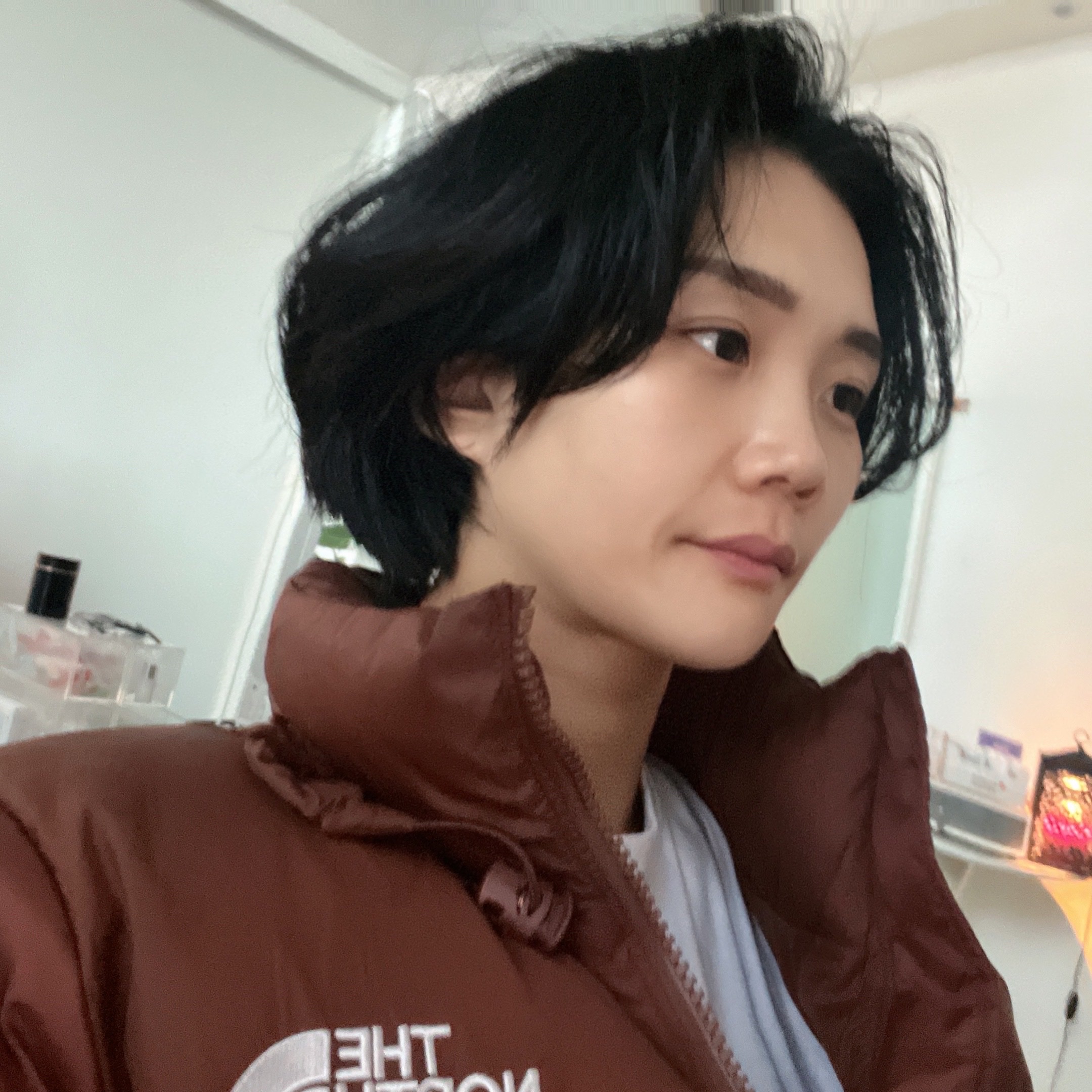 The North Face 1996 Retro Nuptse Jacket Dark Oak 착용 스타일