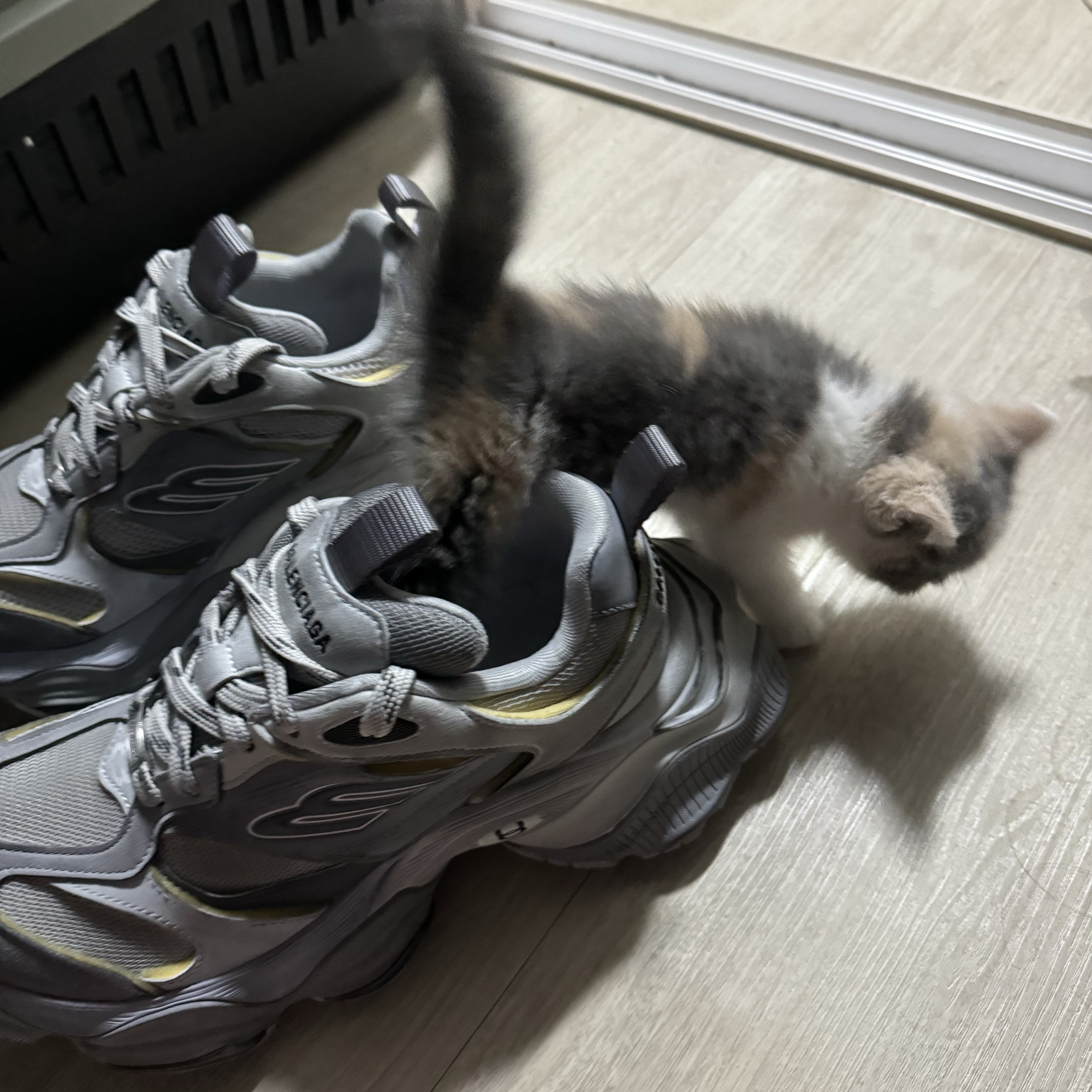 Balenciaga Cargo Sneakers Grey Black Yellow, Balenciaga Cargo Sneakers White Grey 착용 스타일 - 2