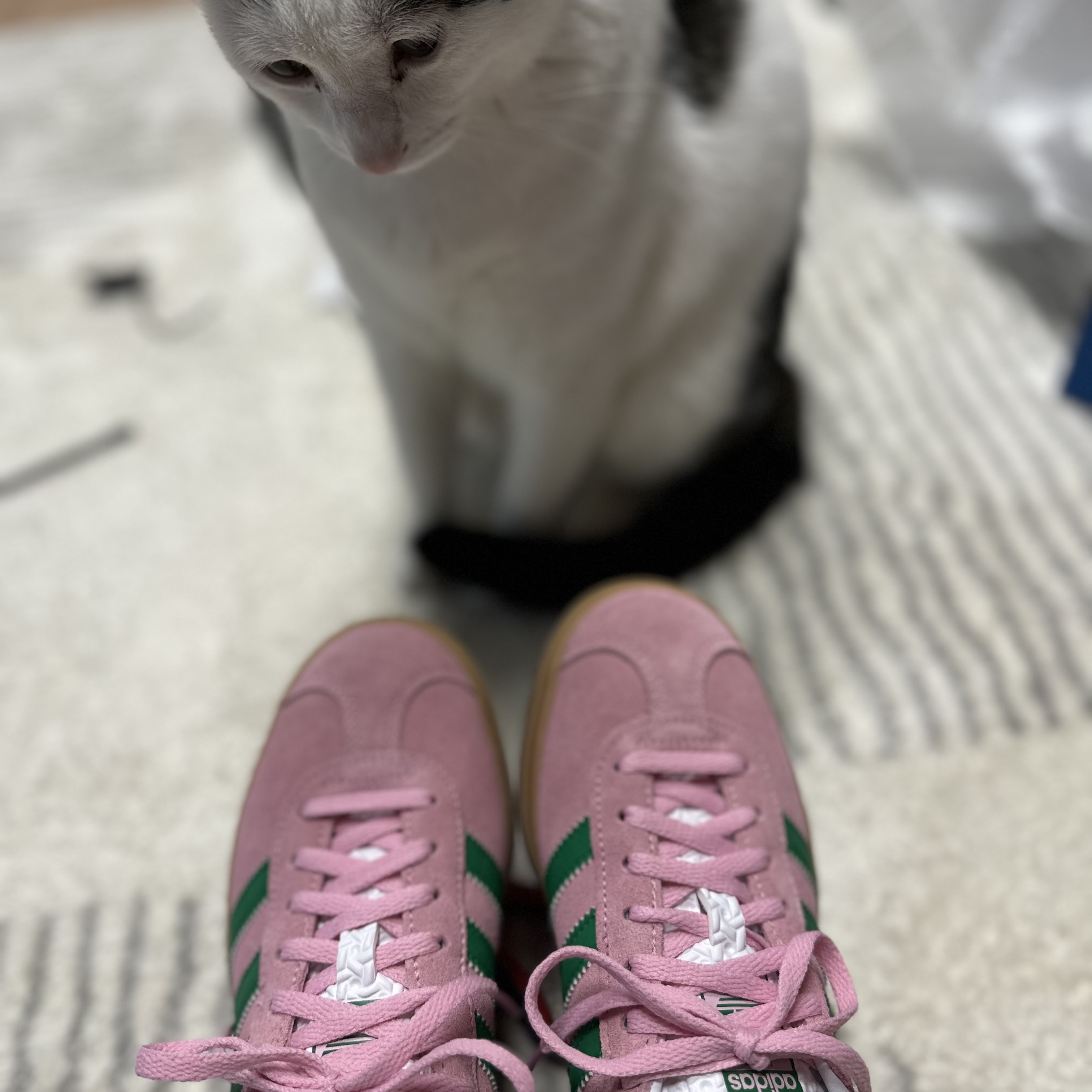 (W) Adidas Gazelle Bold True Pink Green 착용 스타일