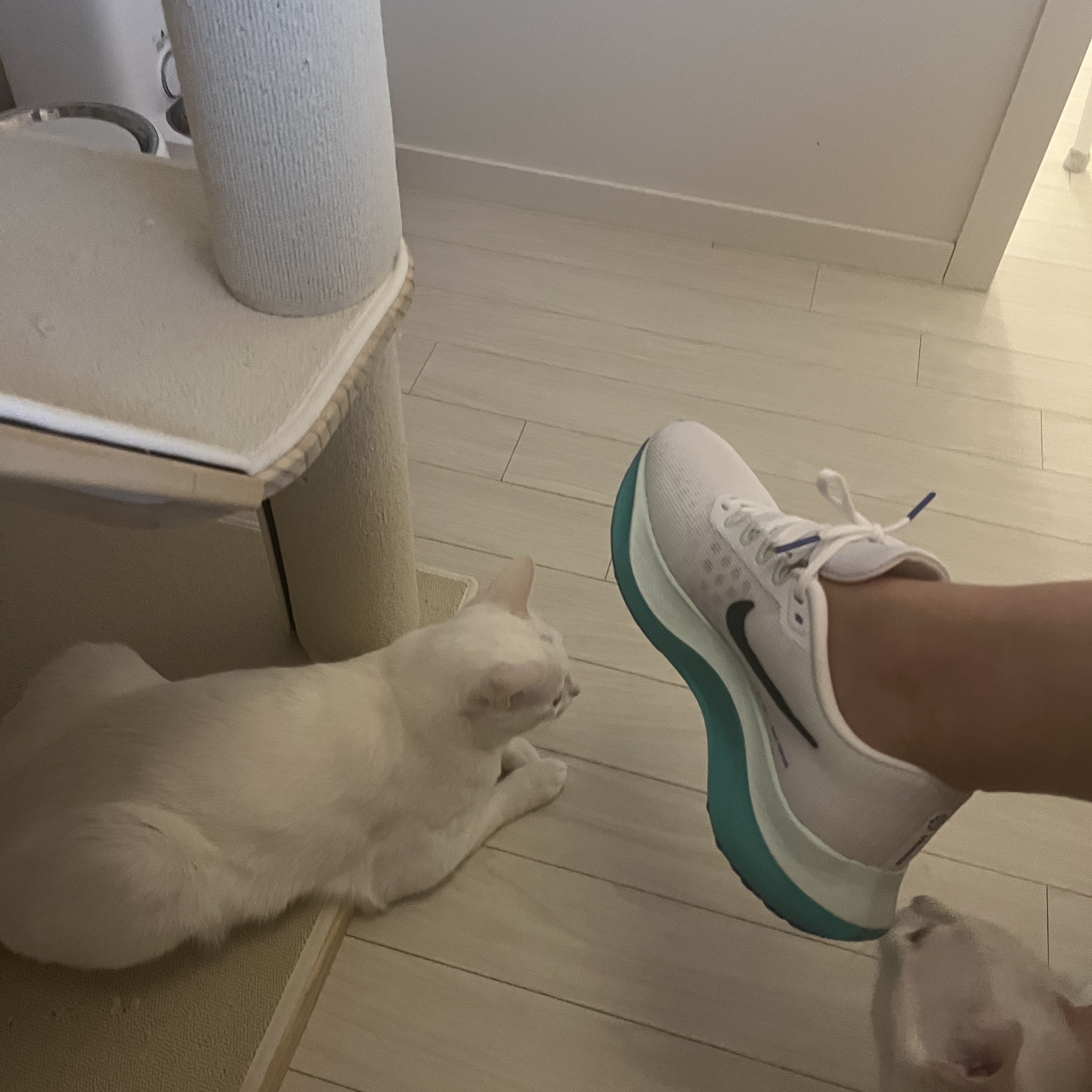(W) Nike Zoom Fly 5 White Clear Jade 착용 스타일 - 2