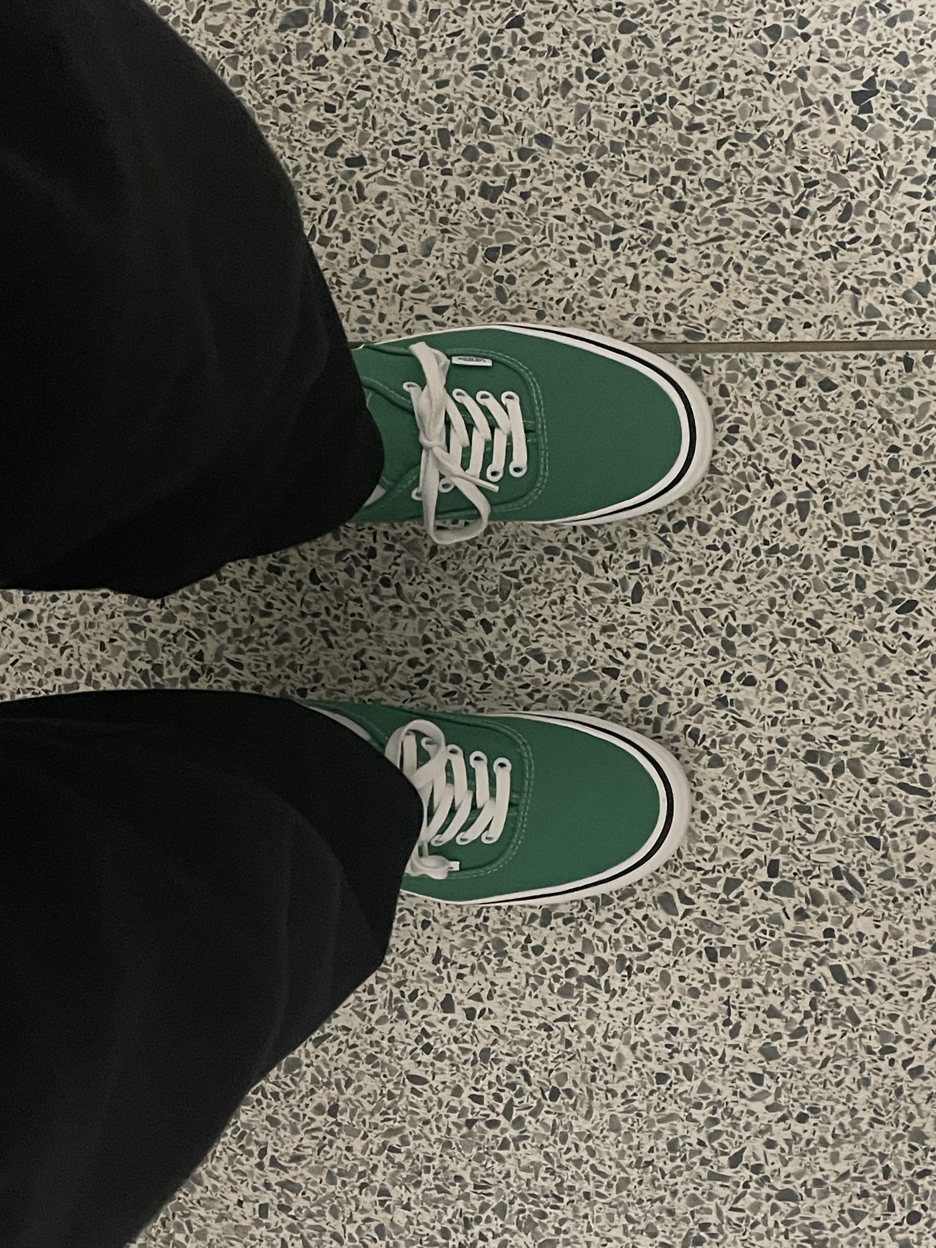 Vans Authentic 44 DX Anaheim Factory Emerald Green, [KREAM 단독] ADSB Andersson Bell Sauvage Cotton Cardigan Green 착용 스타일 - 1
