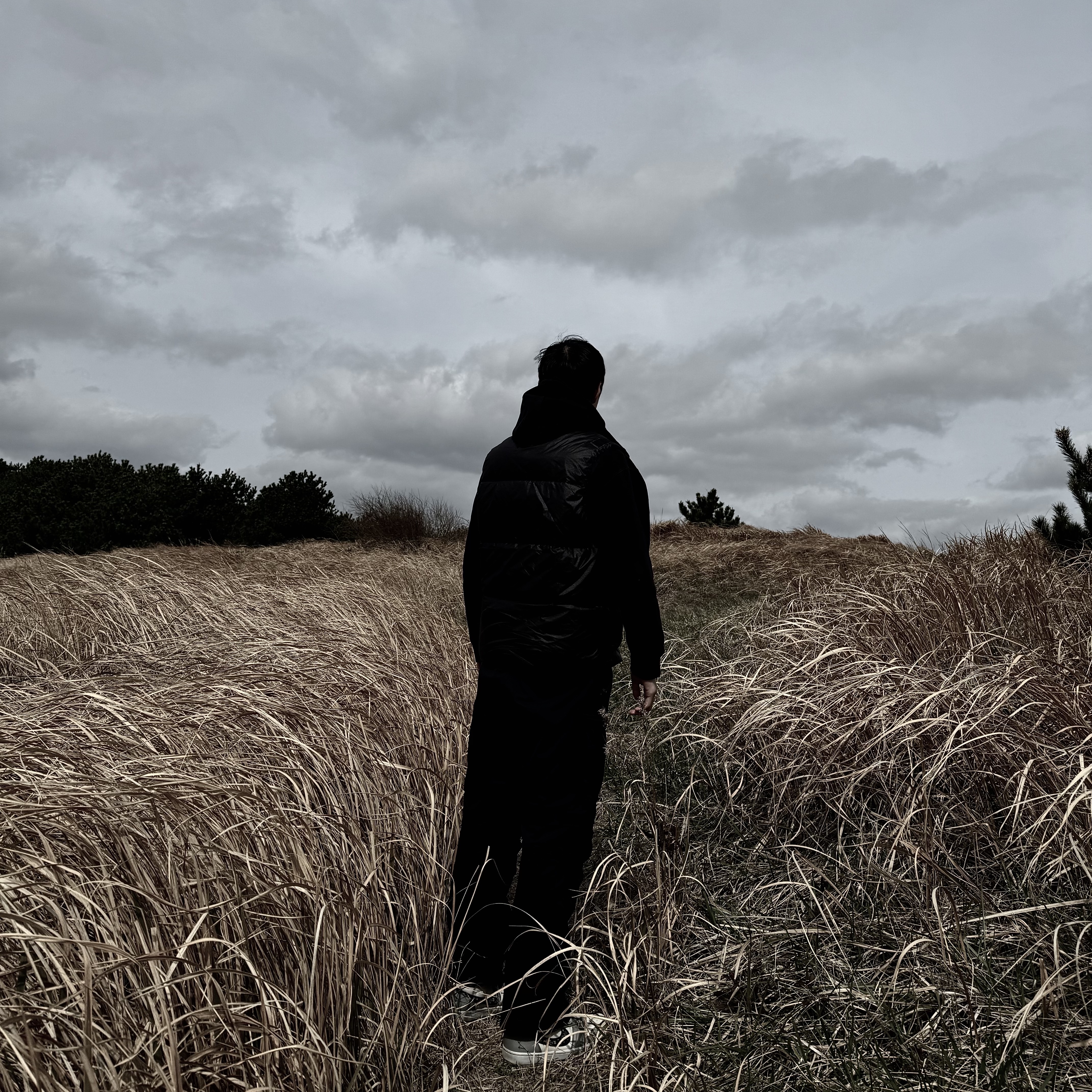 Stone Island G1021 Opaque Nylon Twill Down Hooded Vest Black - 23FW, Nike ACG Smith Summit Cargo Pants Black Anthracite - US/EU 착용 스타일 - 1