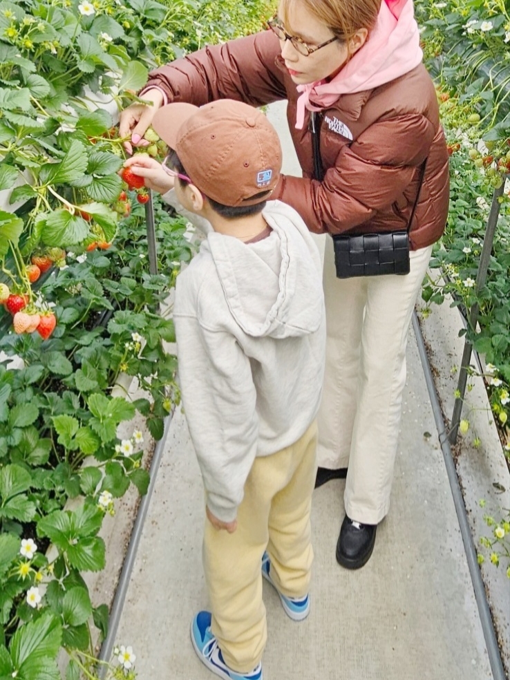 The North Face 1996 Retro Nuptse Jacket Dark Oak, (Kids) Essentials Logo Print Sweatpants Garden Glove - Mr. Porter Exclusive 착용 스타일 - 1
