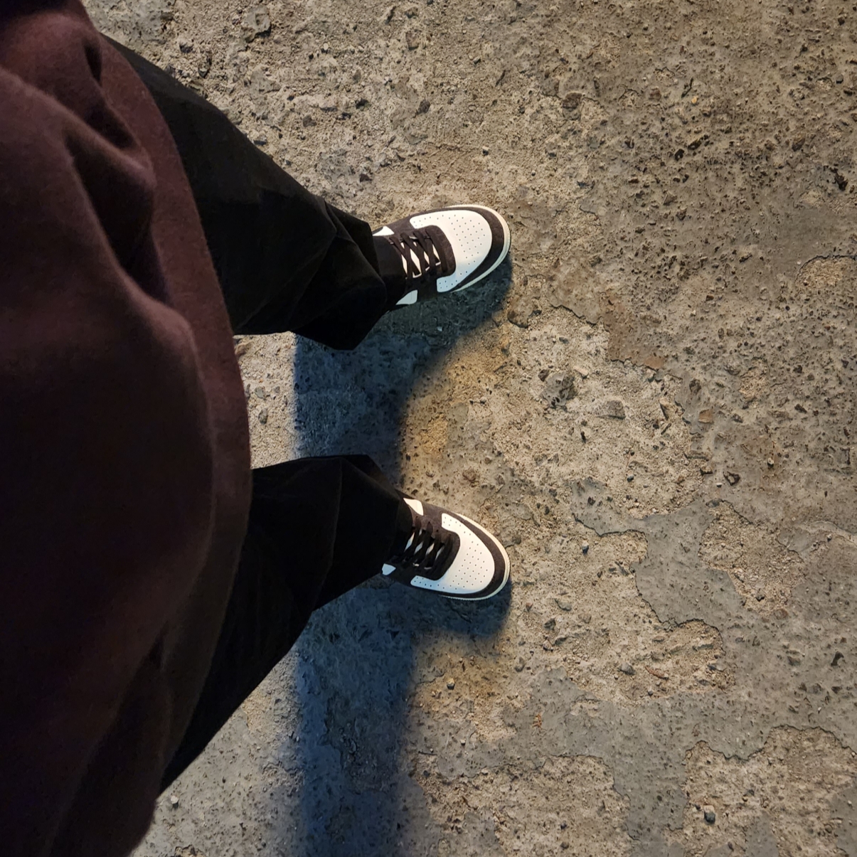 Nike Terminator Low Velvet Brown 착용 스타일