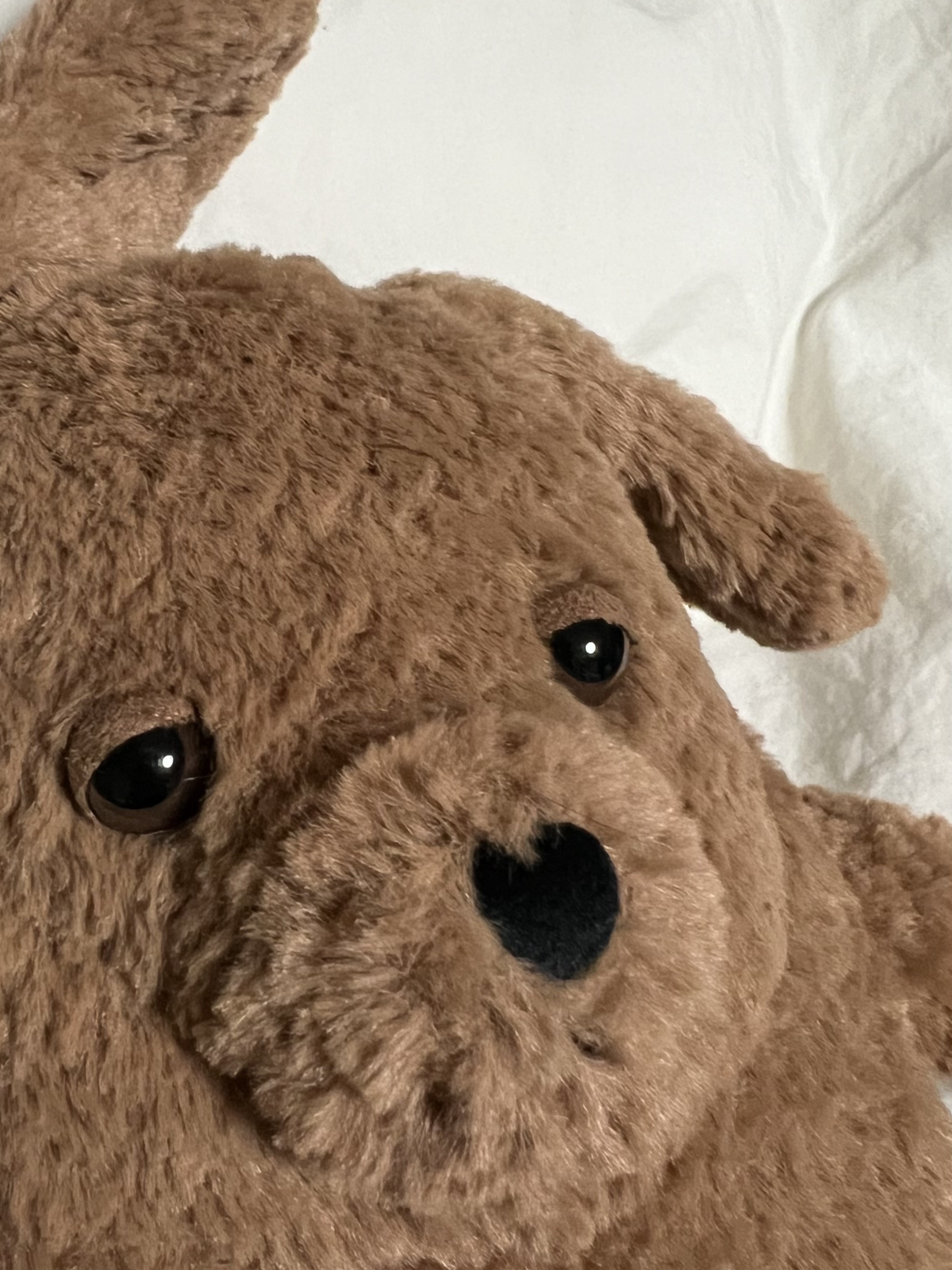 Jellycat Amore Dog Brown 착용 스타일 - 2