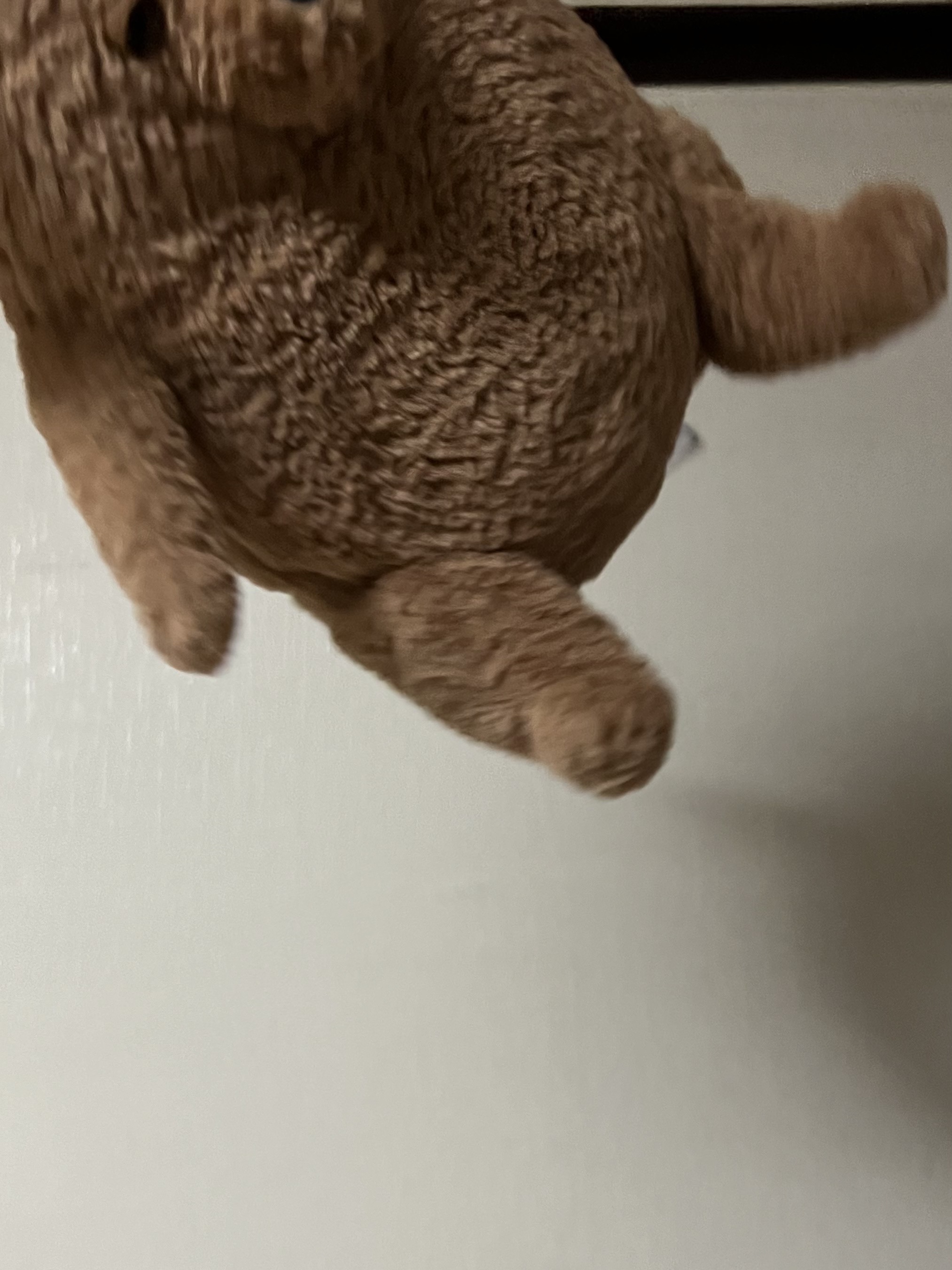 Jellycat Amore Dog Brown 착용 스타일 - 1